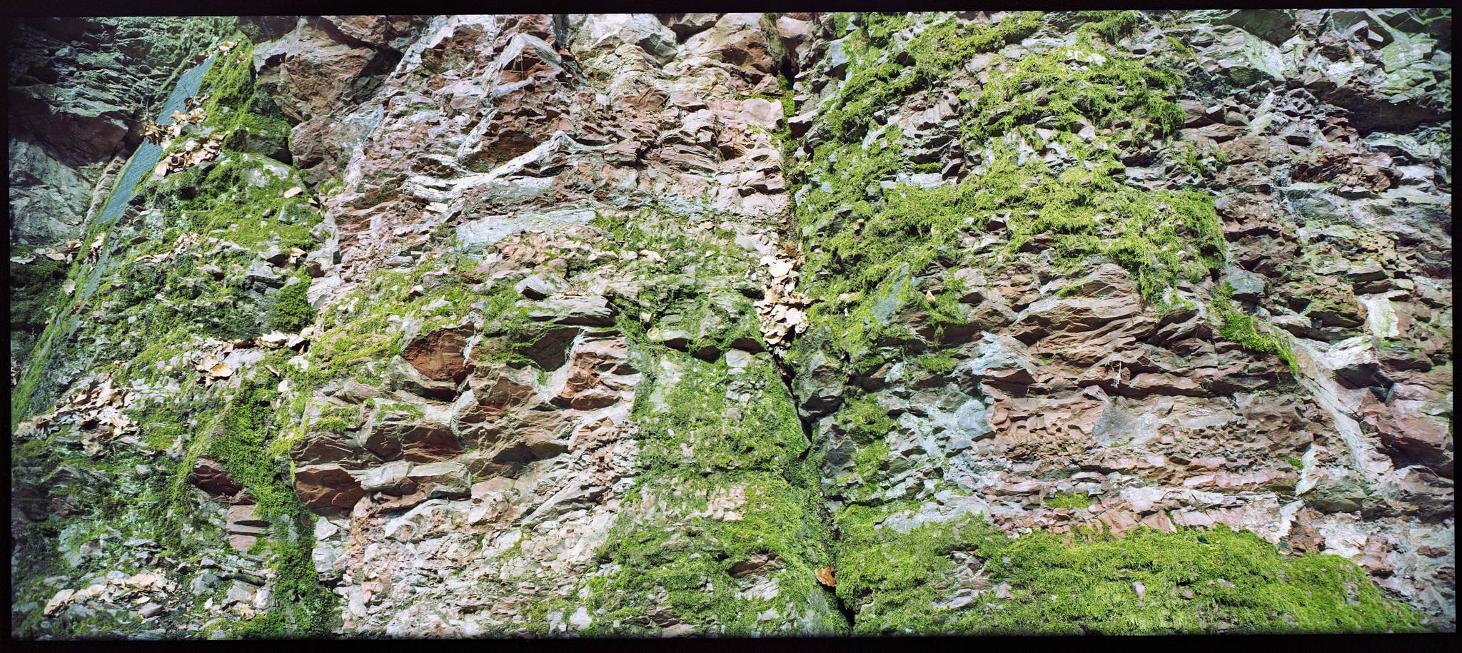 2018 03 30 holga pan 6x12 10 26271640977 o