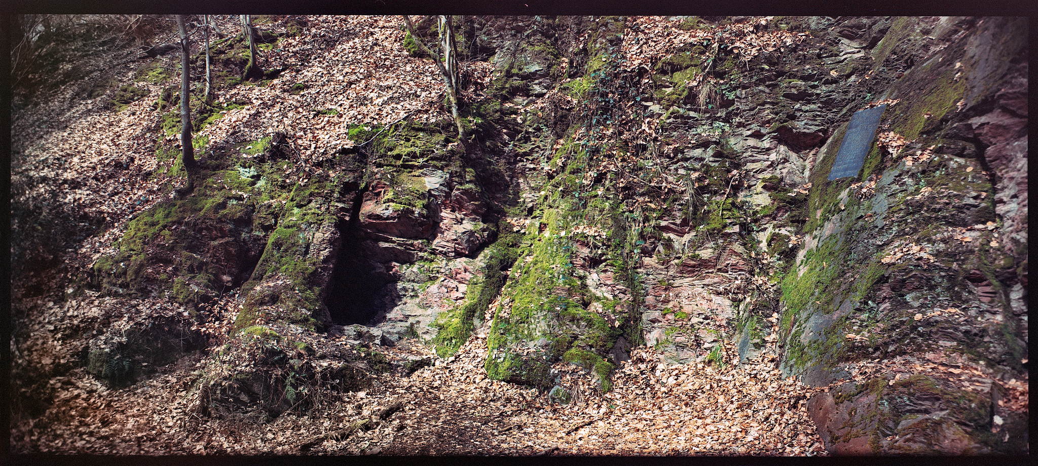 2018 03 30 holga pan 6x12 11 39334377650 o