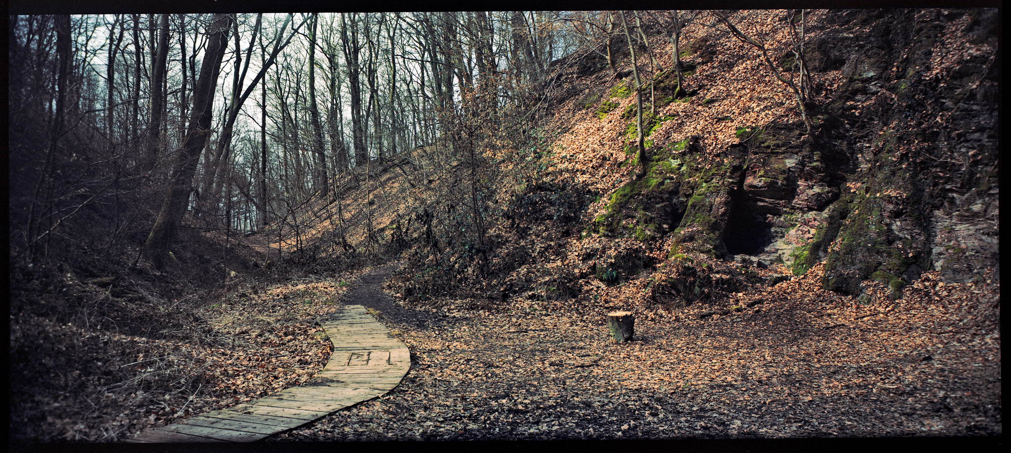 2018 03 30 holga pan 6x12 12 40431933724 o