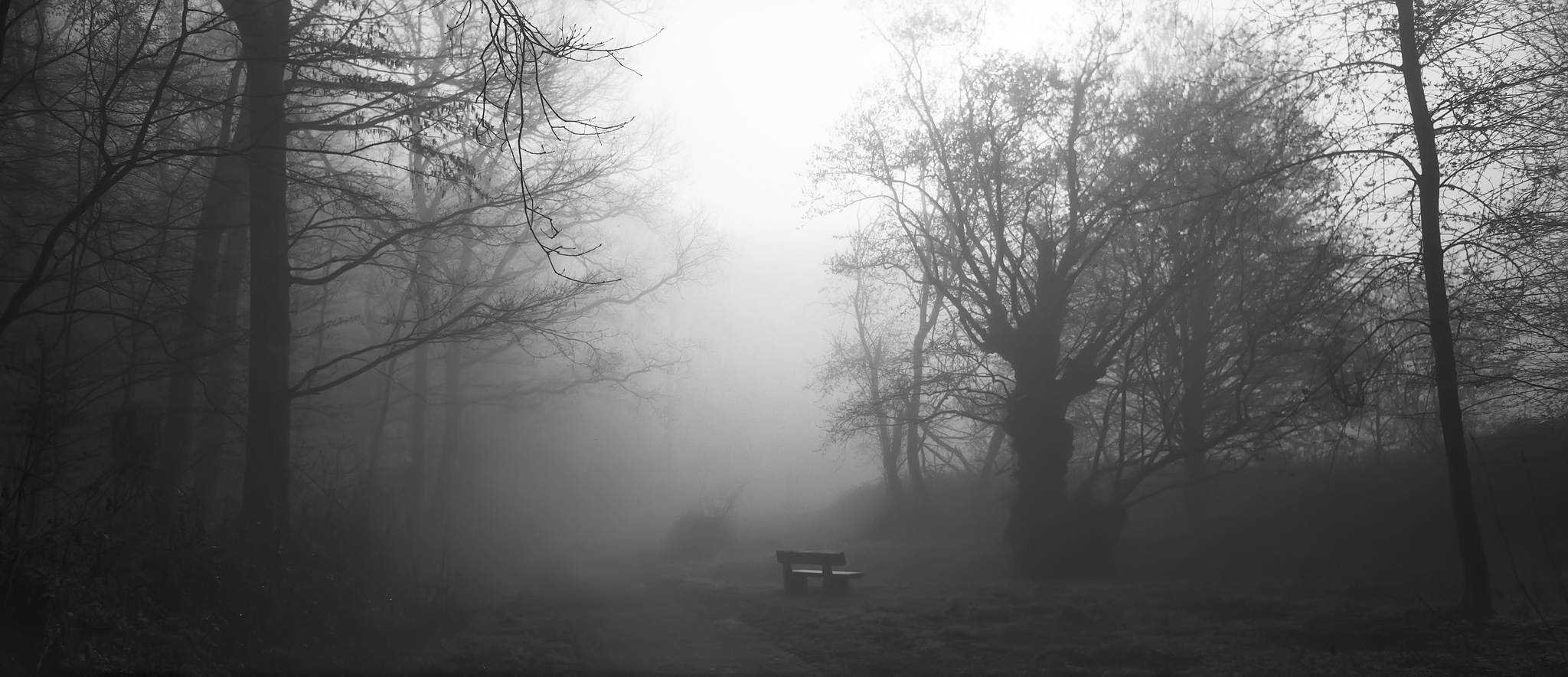 2018 04 11 holga pan 6x12 06 27533131878 o