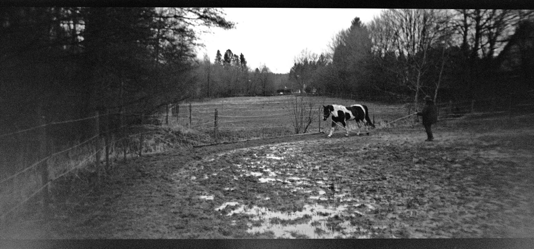 Originale plastiklinse 39932610465 o