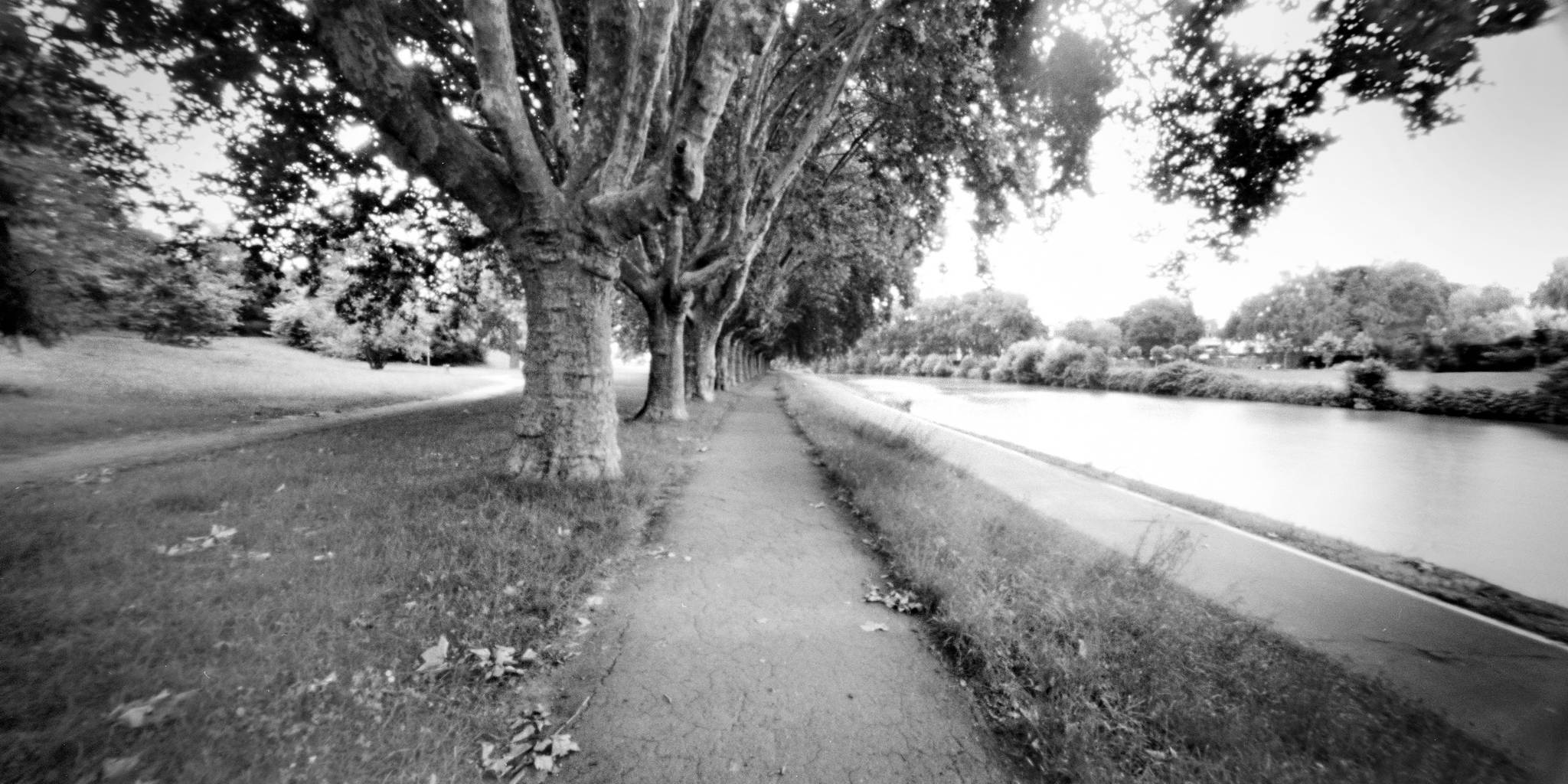 Holga 6x12 pinhole 10 kopie 42689580530 o