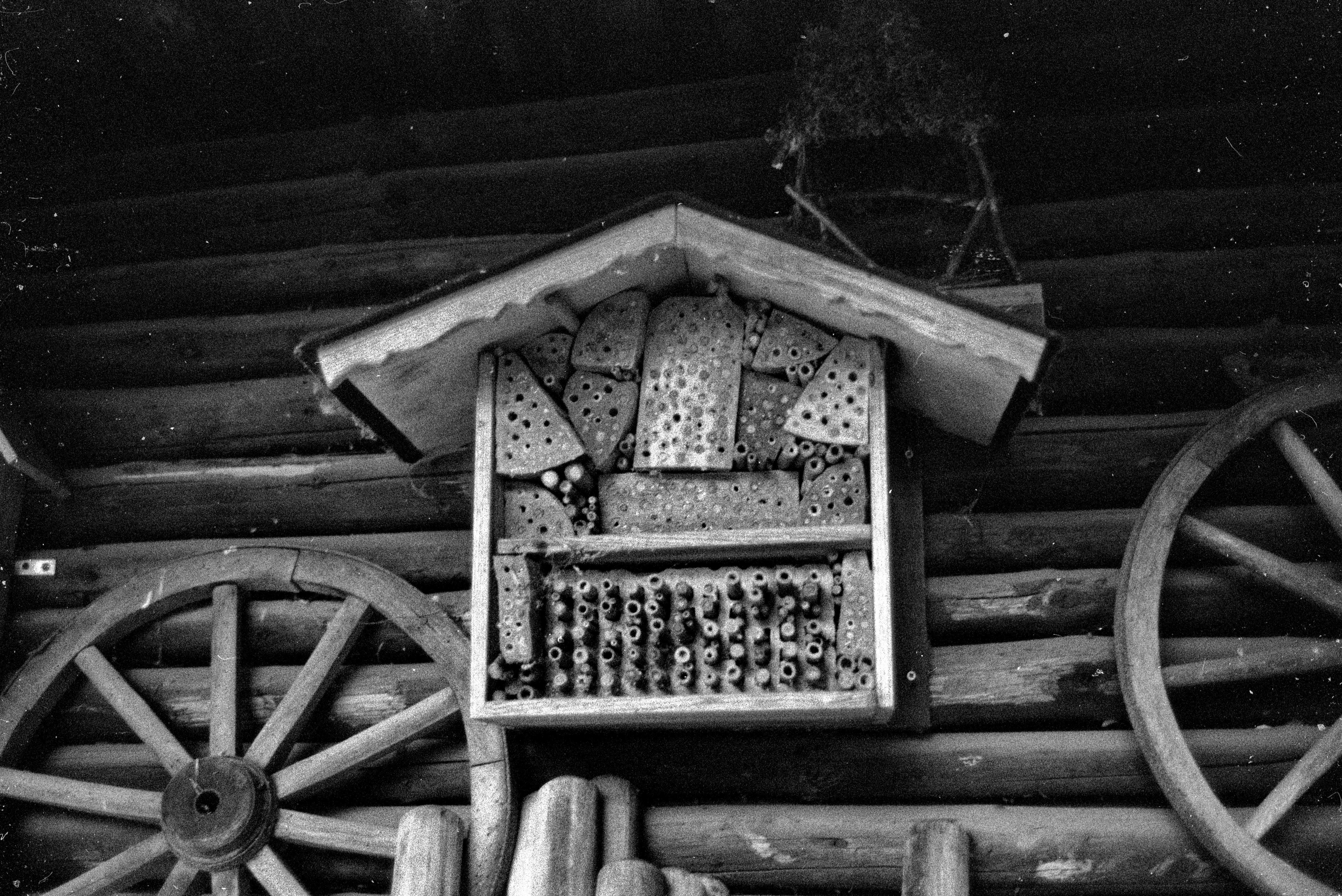 2026 01 24 19 56 0003