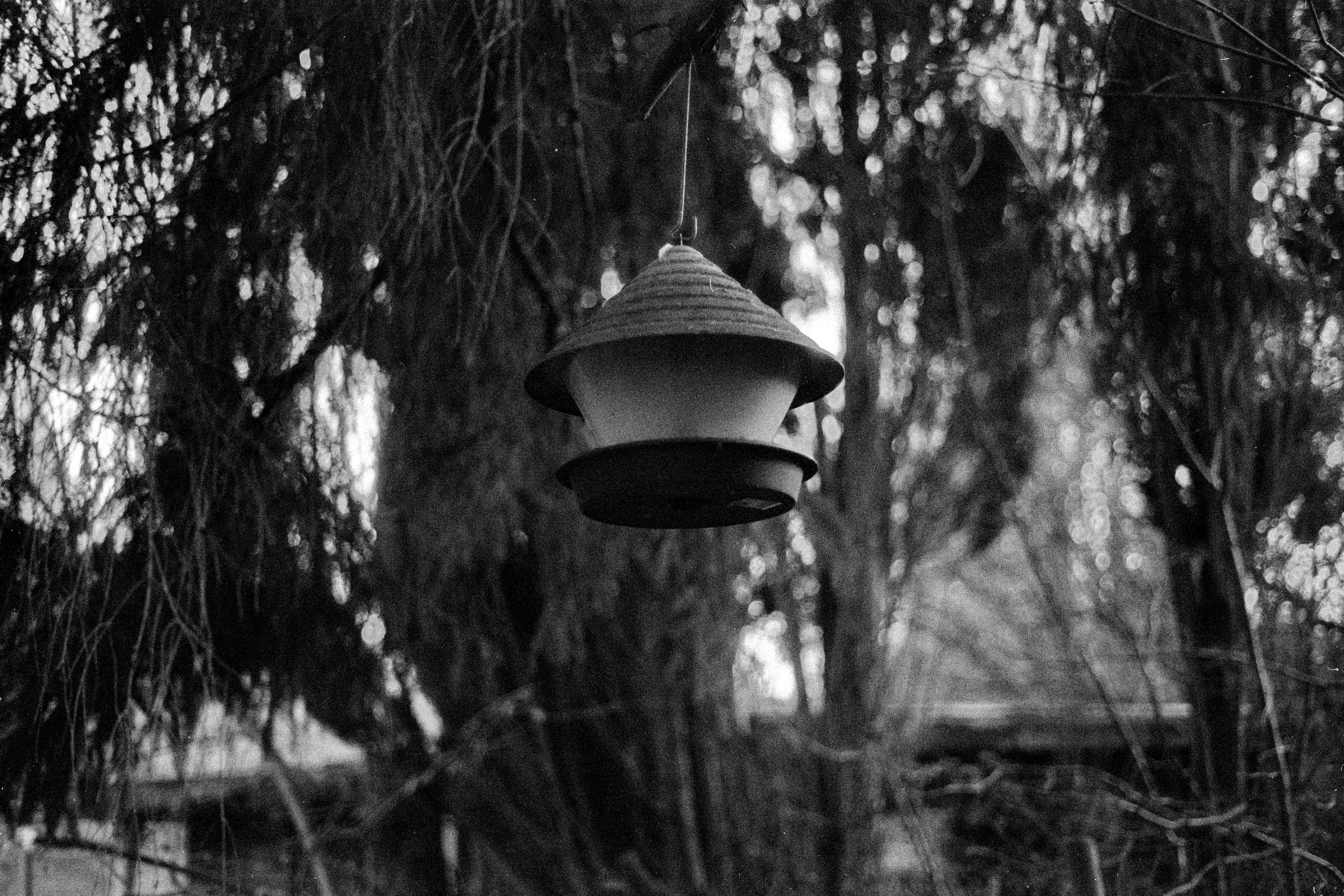 2026 01 24 20 02 0001