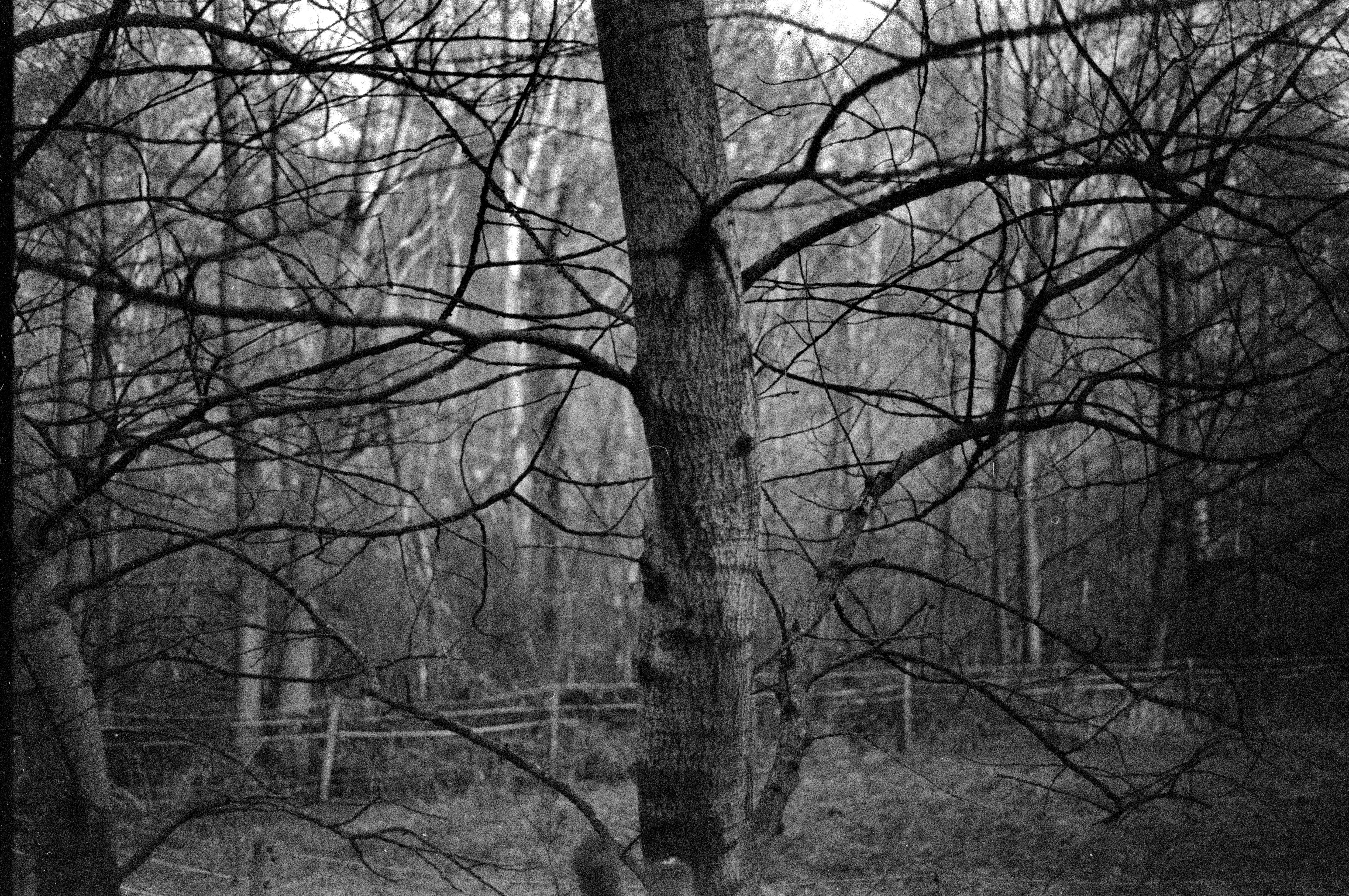 2026 01 24 20 02 0005