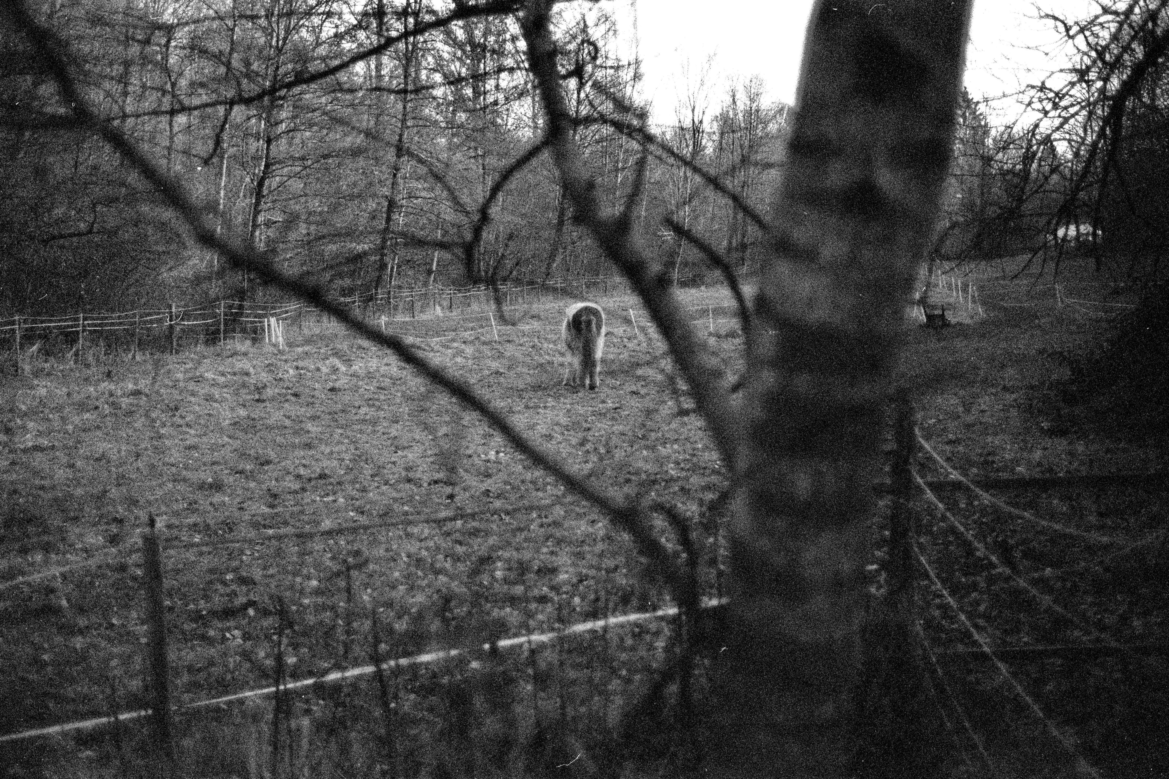 2026 01 24 20 02 0006