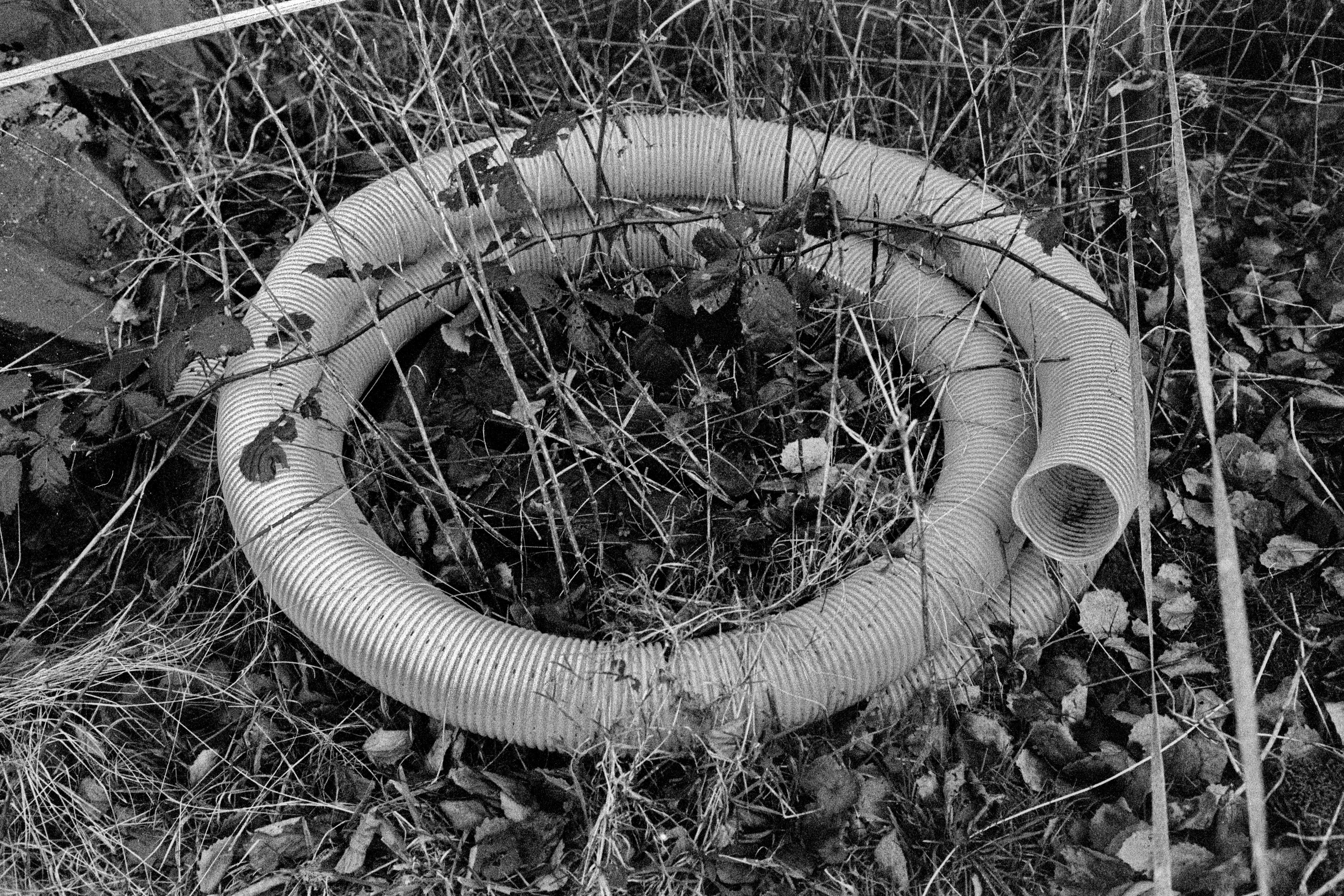 2026 01 24 20 08 0001