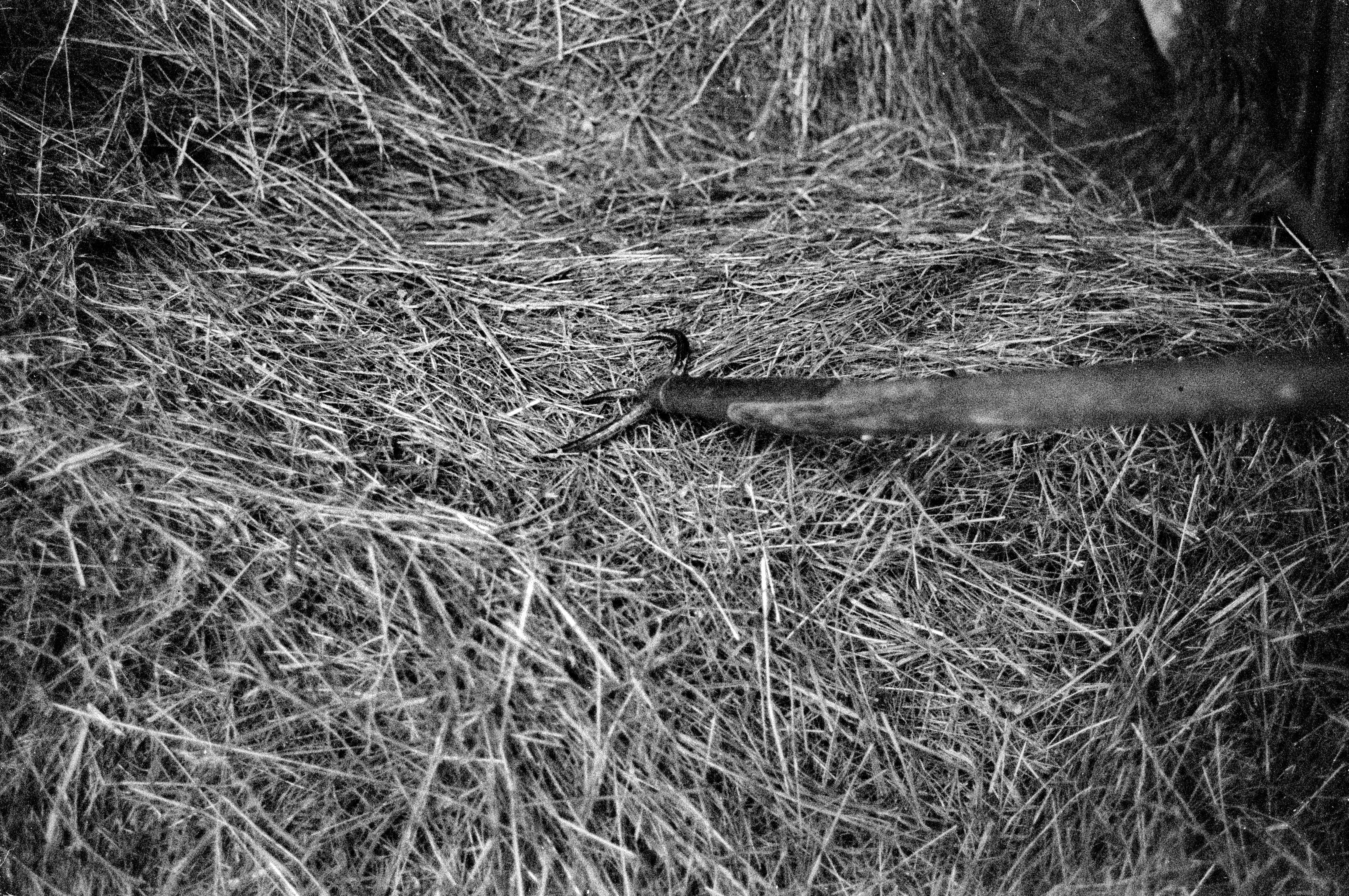 2026 01 24 20 08 0005