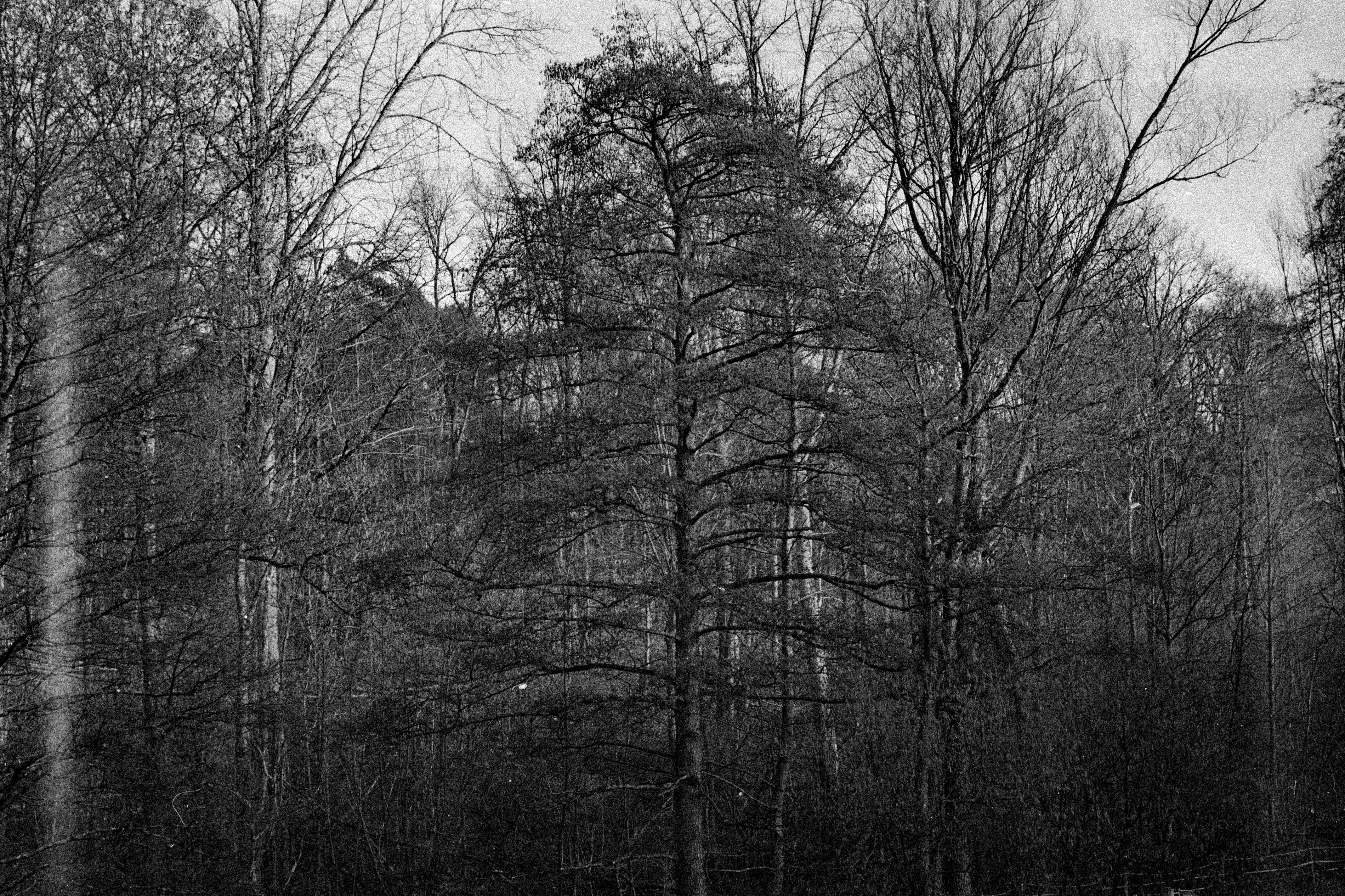 2026 01 24 20 08 0006