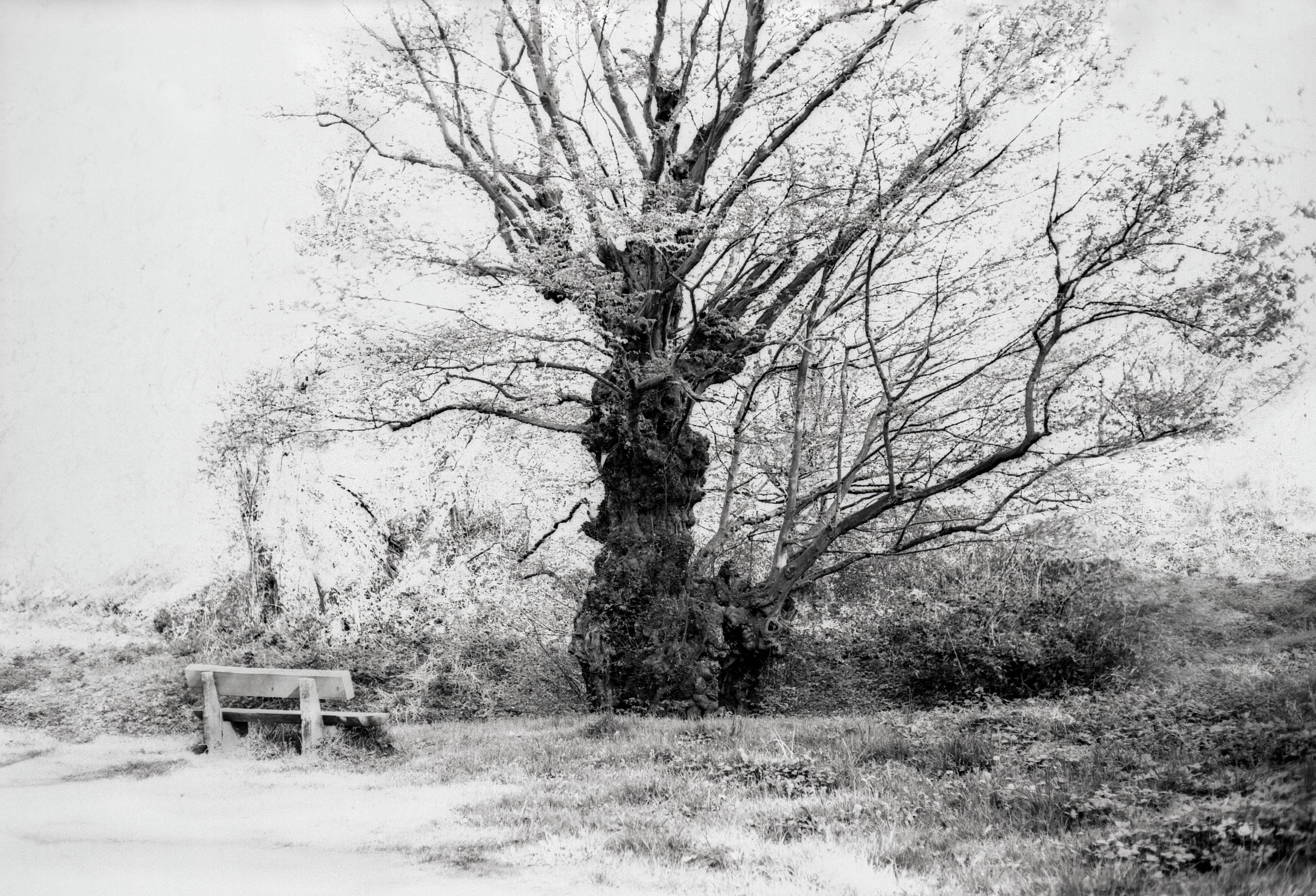 M6 elmar135 technicalpan 33 46929152254 o