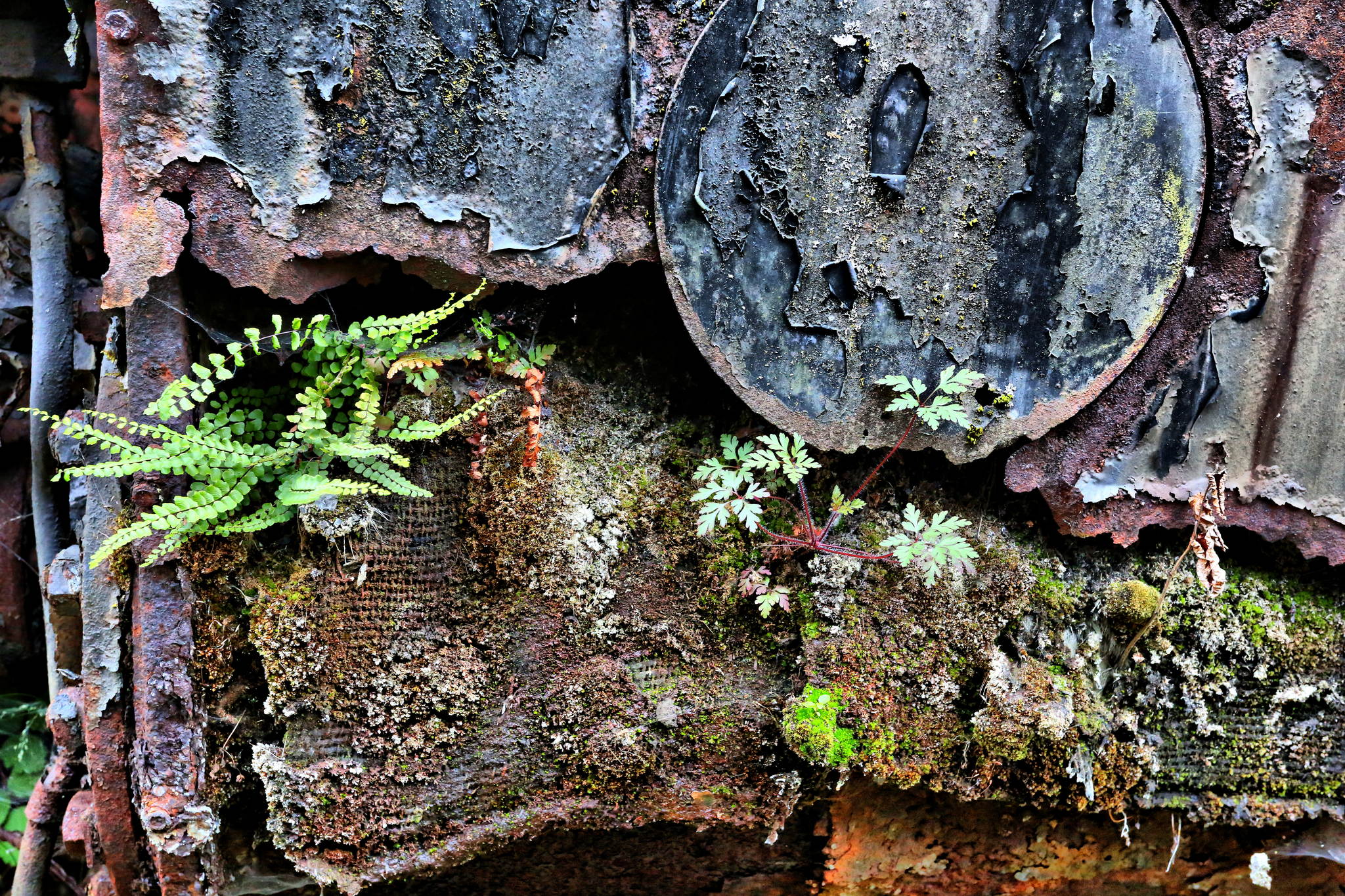 Lokmuseum hermeskeil ur4a0126 9329609732 o