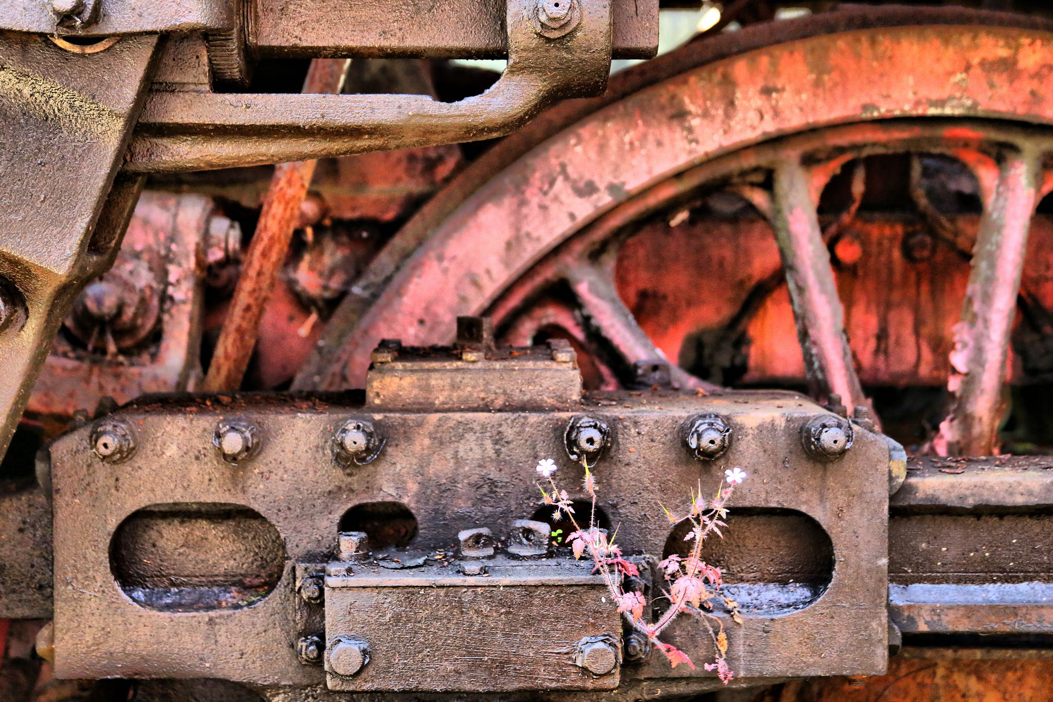 Lokmuseum hermeskeil ur4a0712 9329918050 o