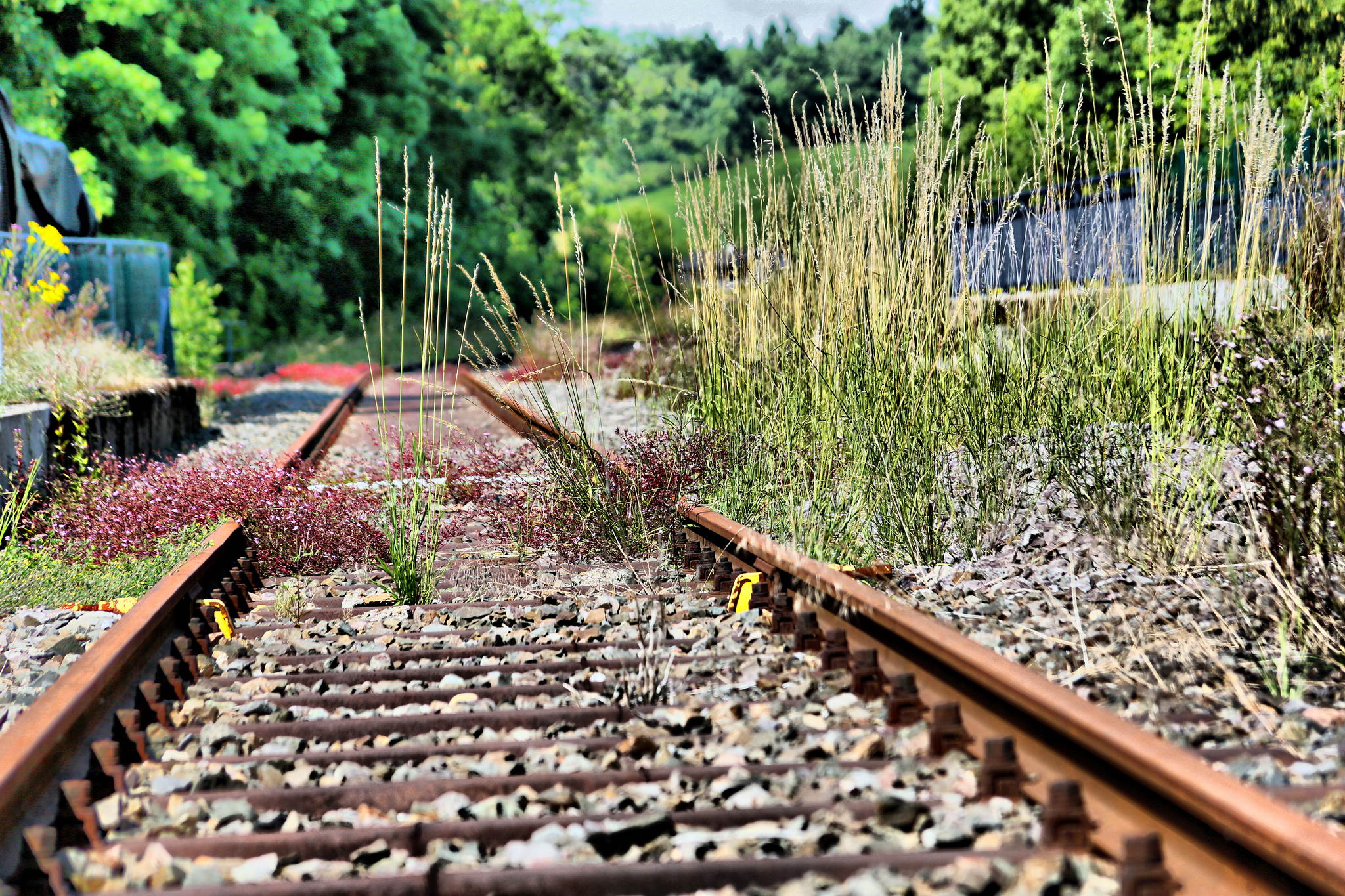 Lokmuseum hermeskeil ur4a0787 9327138325 o