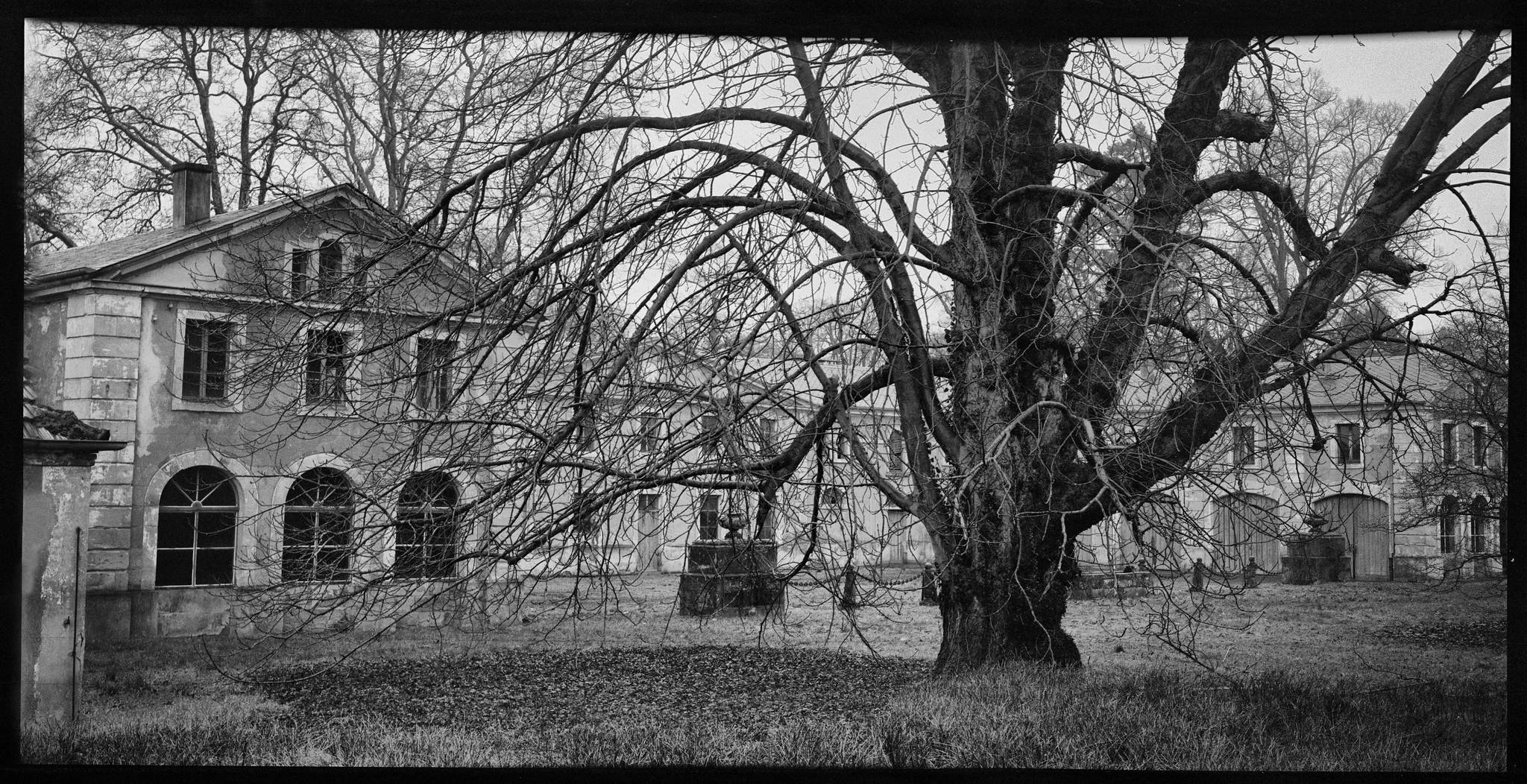 2018 01 28 belai 07 28173333409 o