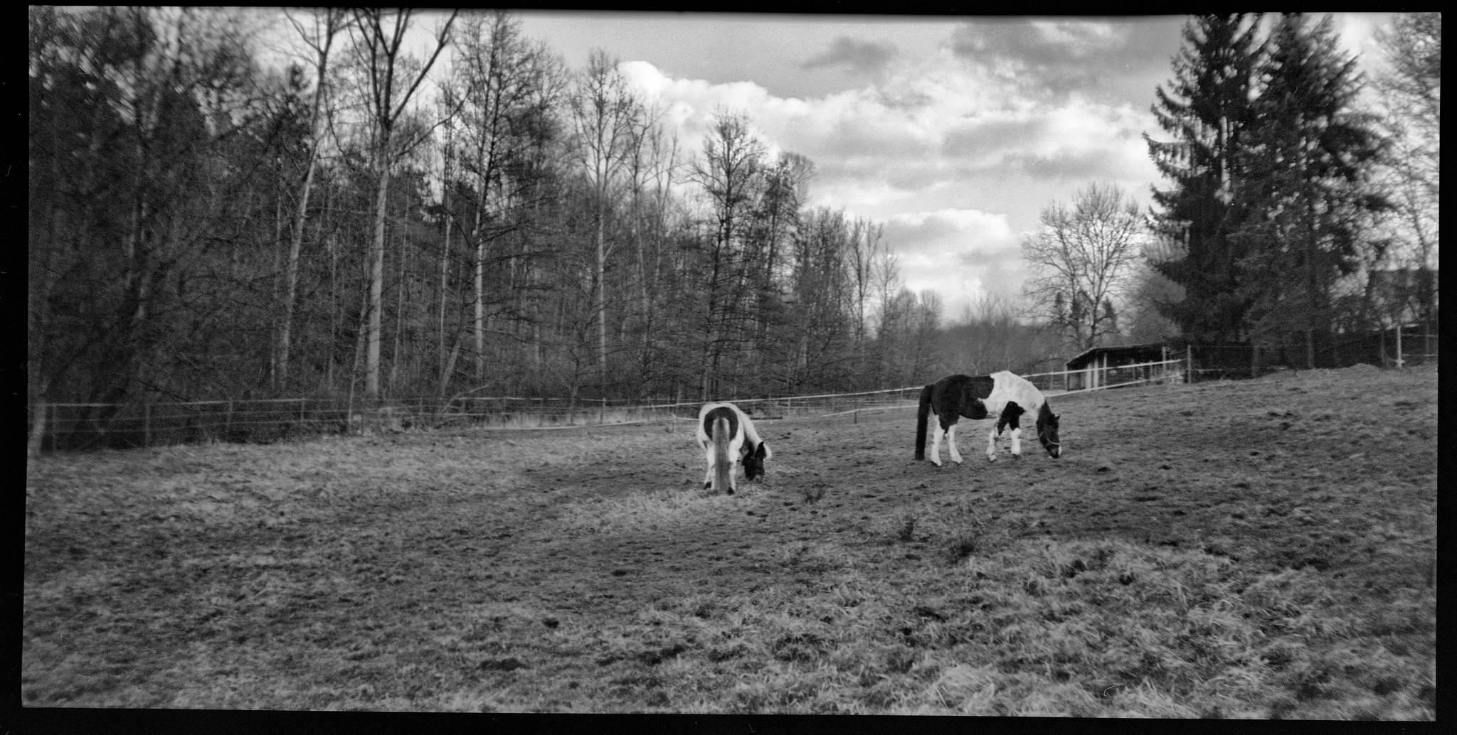 2018 02 12 belair 58mm 01 25417268317 o