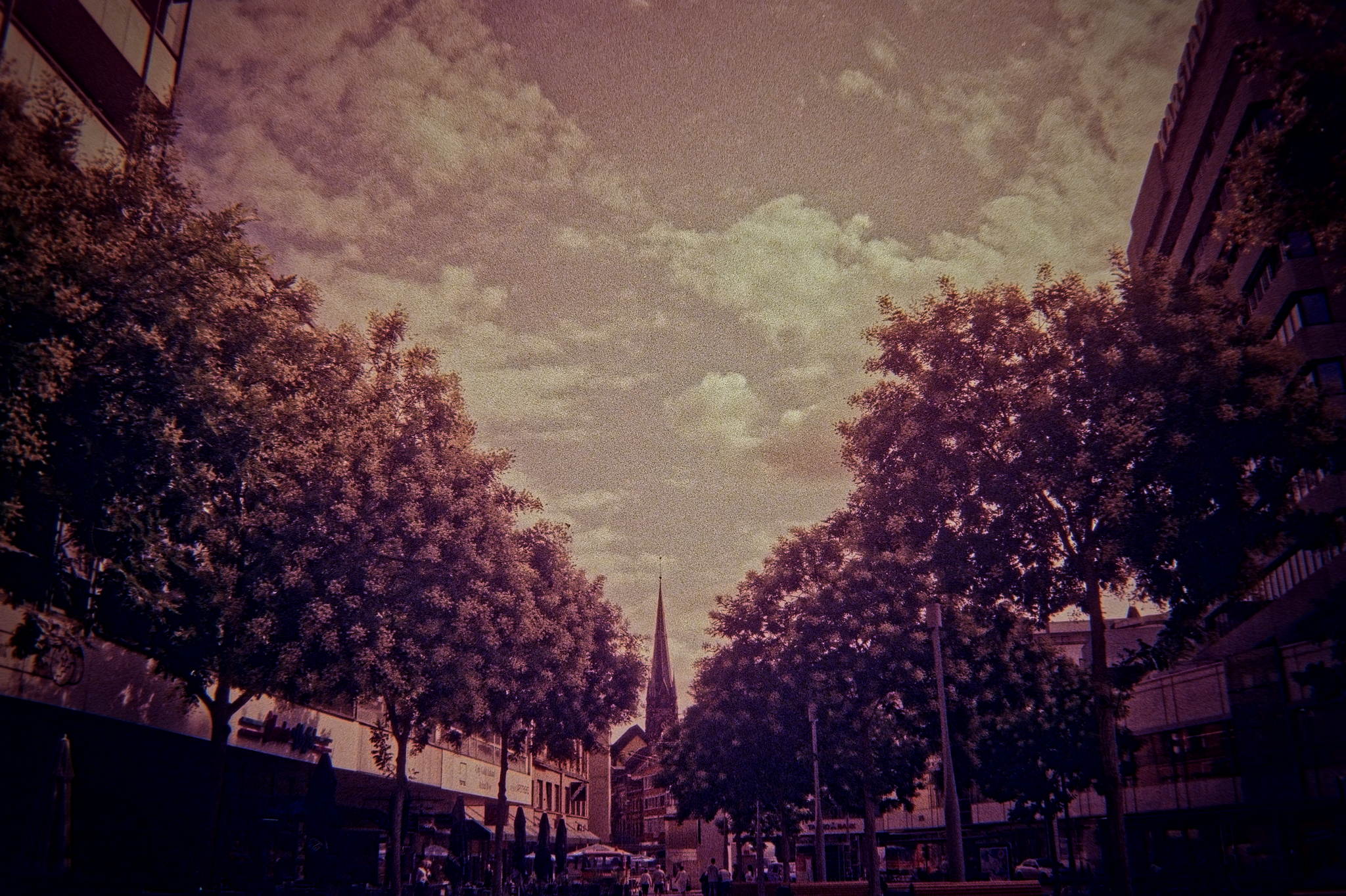 Dsc06649 dxo 53831023838 o