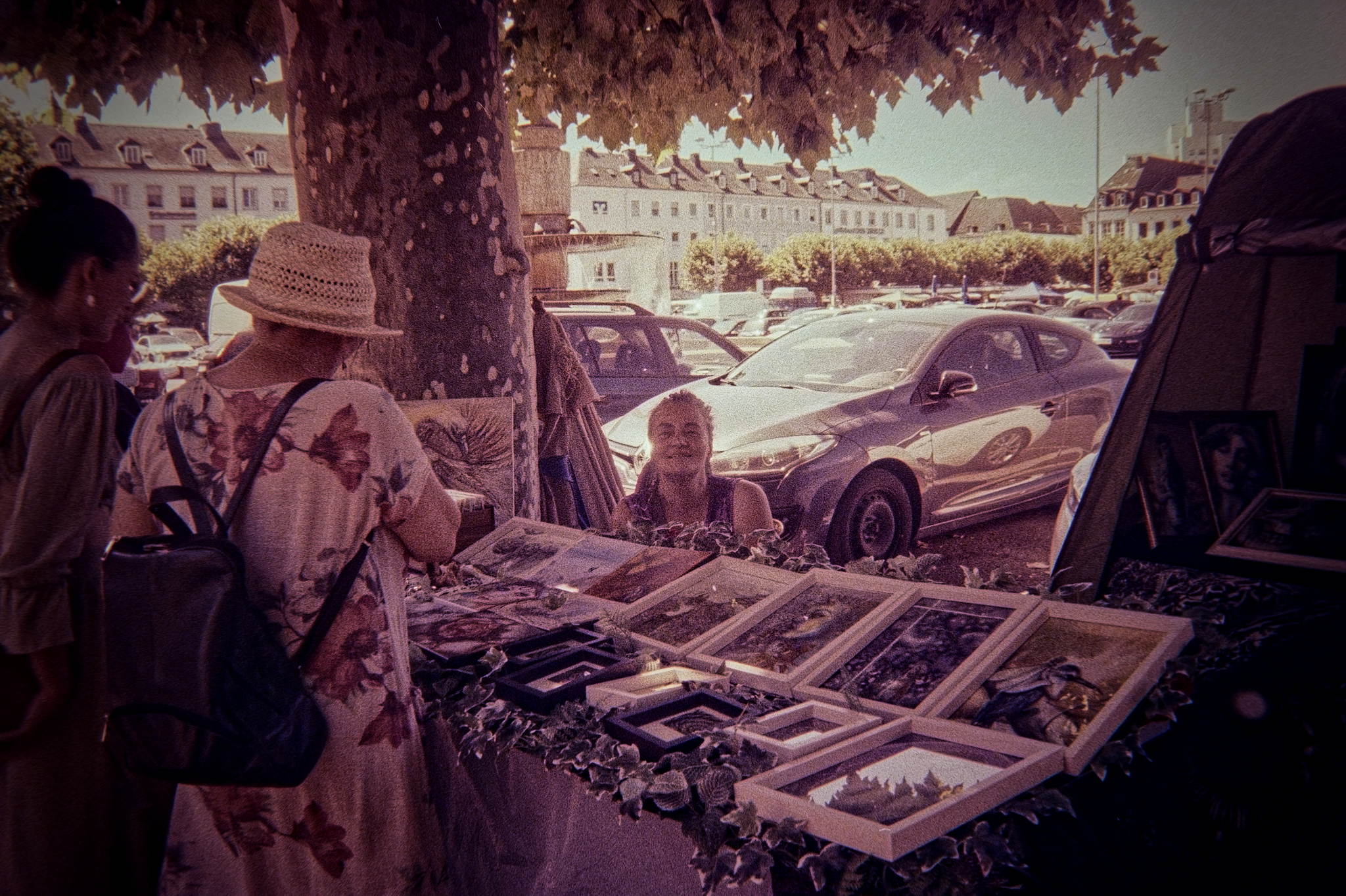 Dsc06652 dxo 53829868187 o