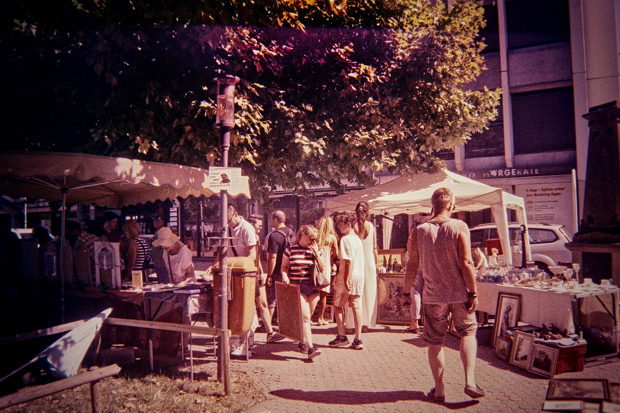 Dsc06657 dxo 53831123024 o