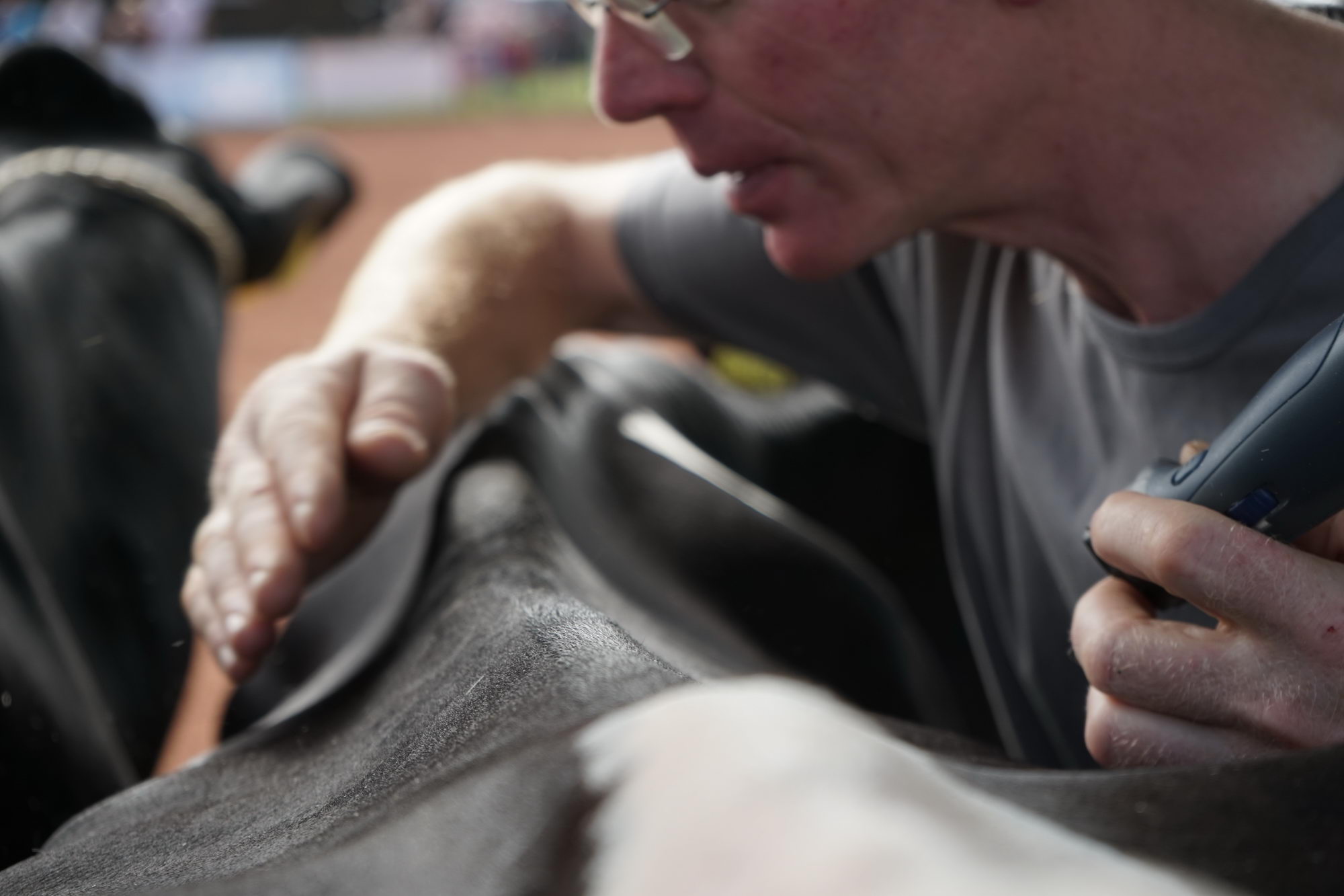 2016 07 17 webenheim kuehe 009