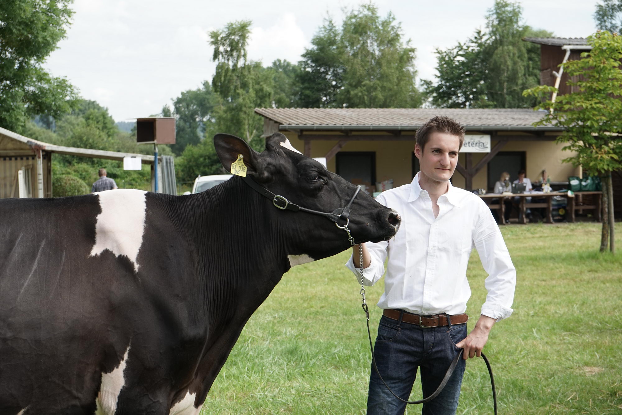 2016 07 17 webenheim kuehe 028