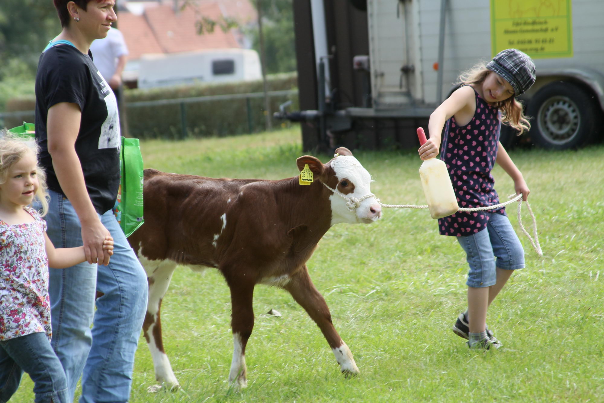 2016 07 17 webenheim kuehe 034