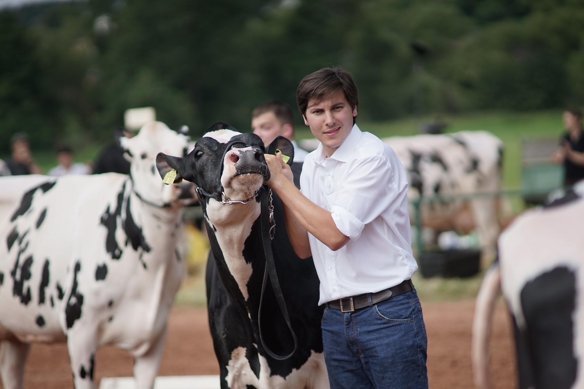 2016 07 17 webenheim kuehe 045