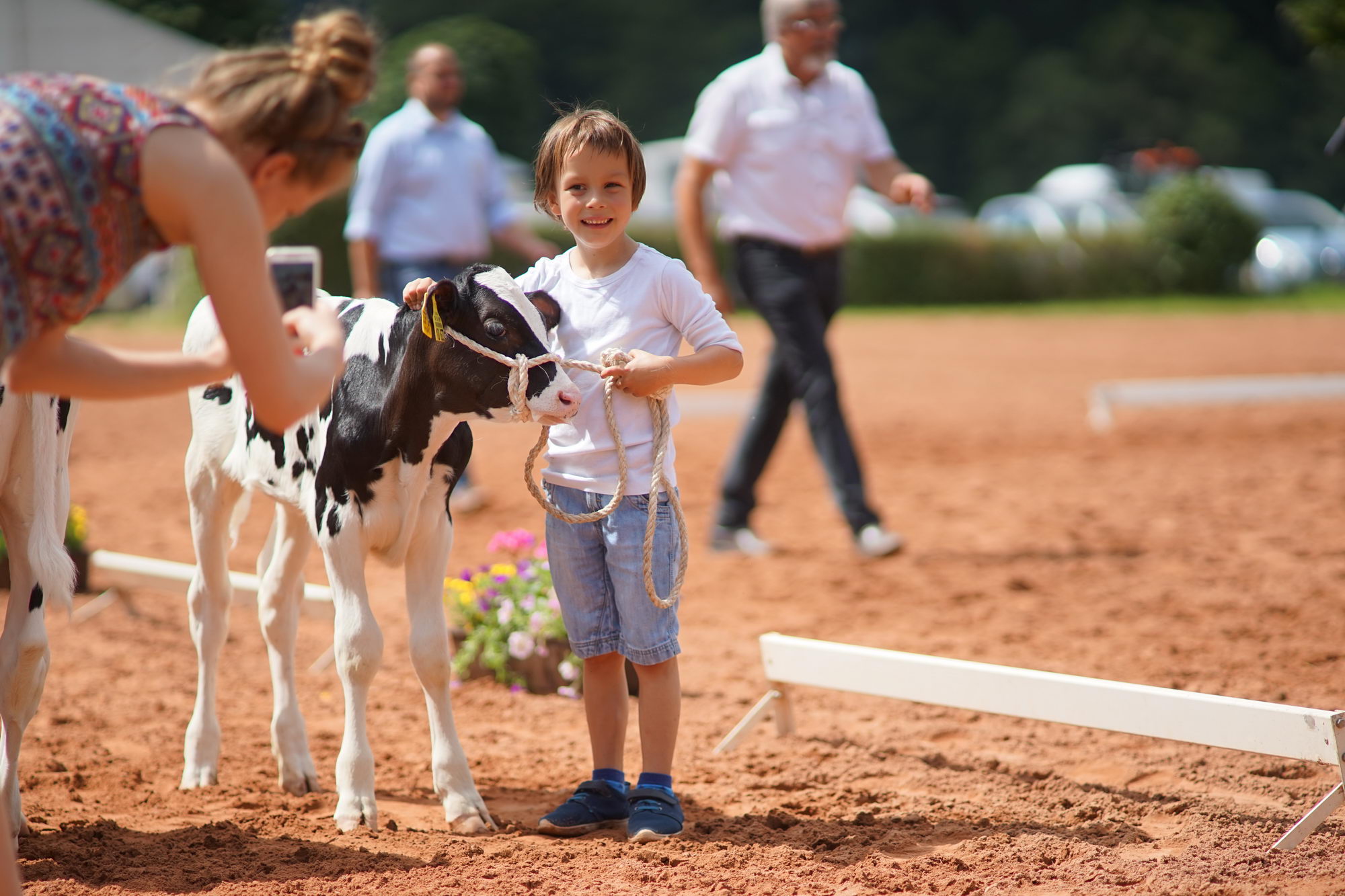 2016 07 17 webenheim kuehe 146