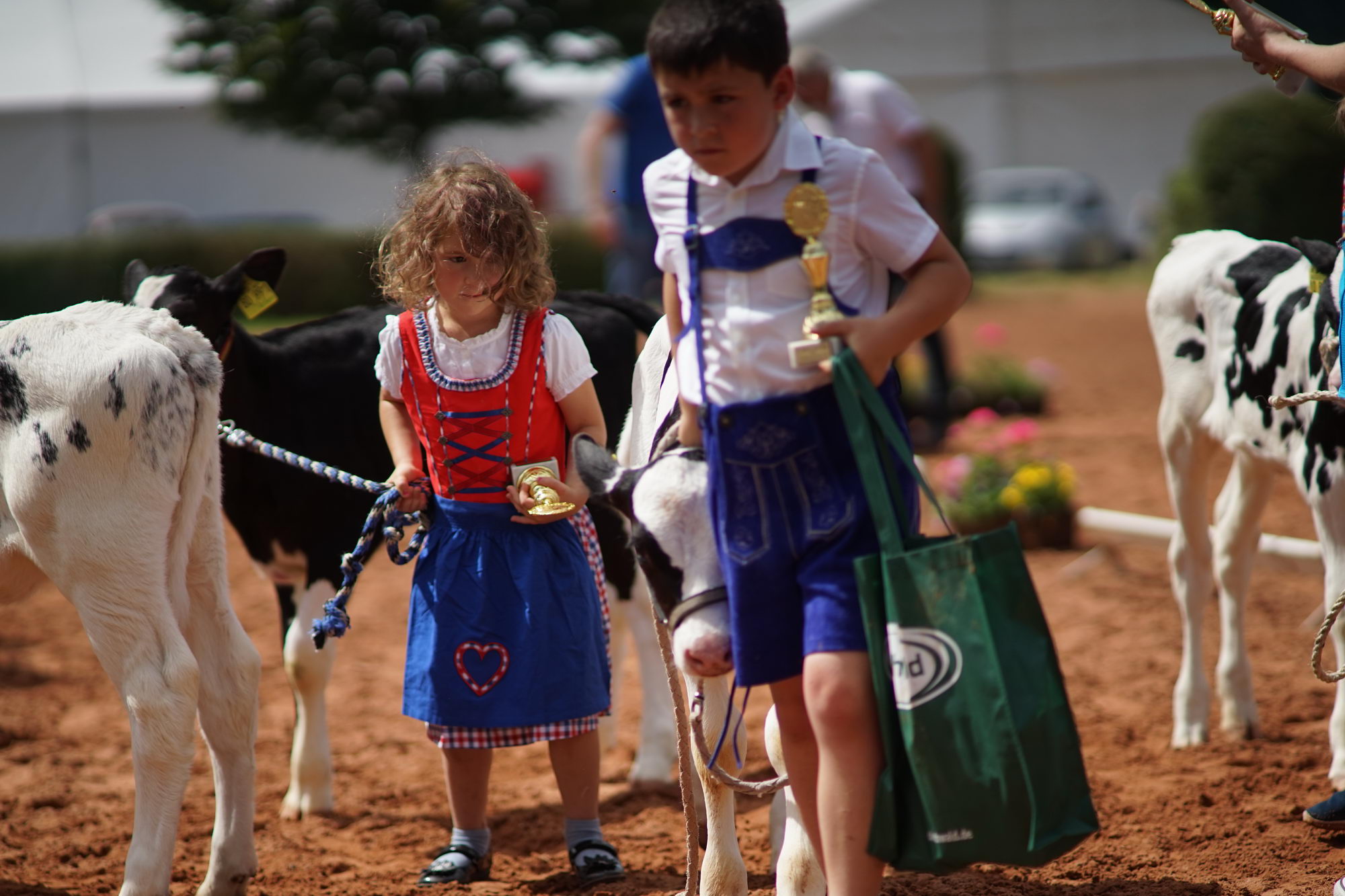 2016 07 17 webenheim kuehe 147