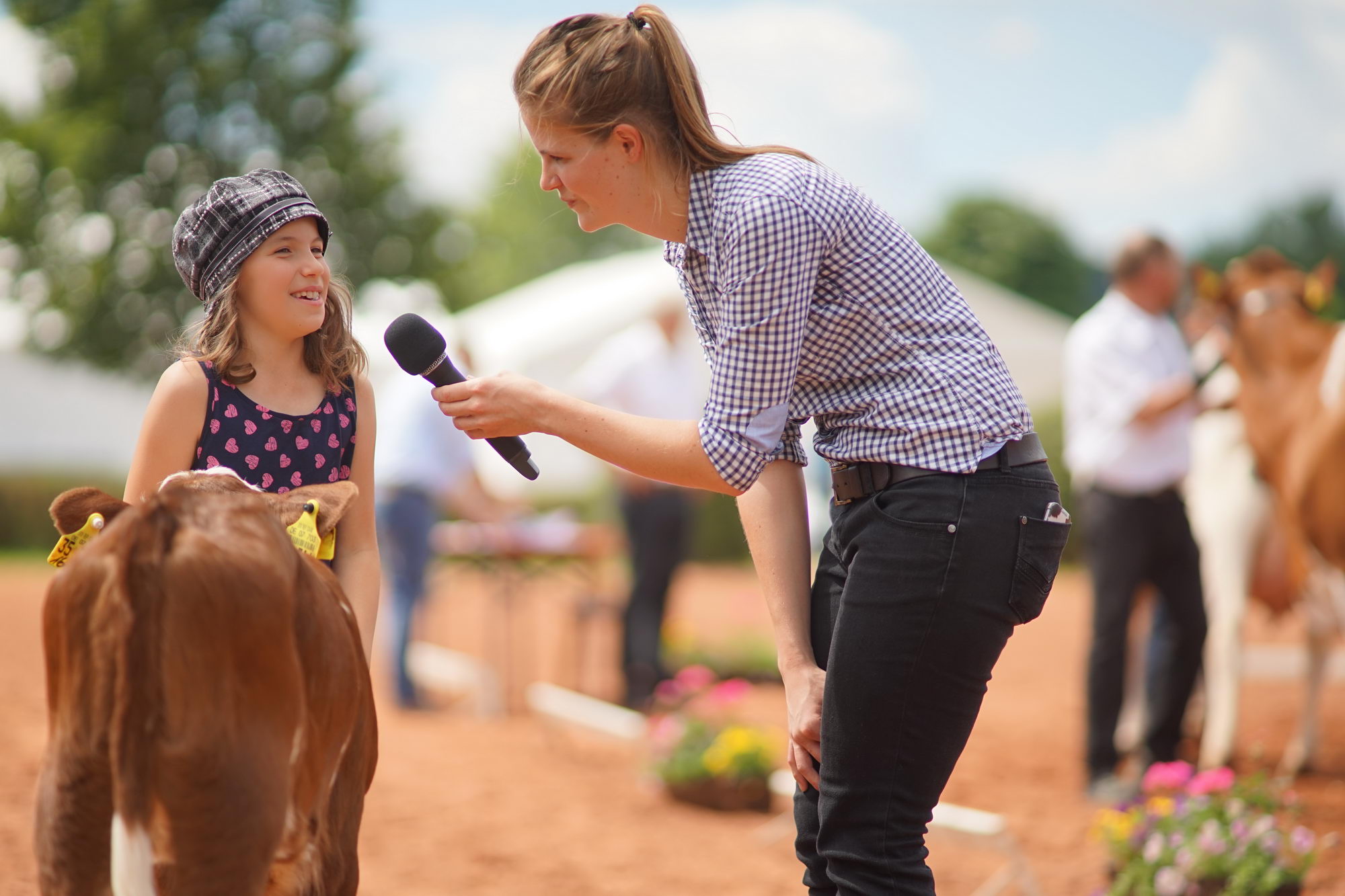 2016 07 17 webenheim kuehe 151