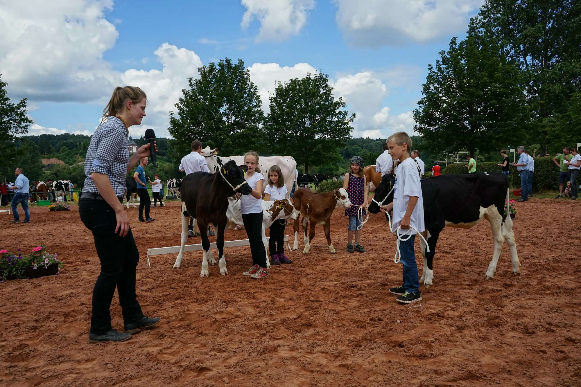 2016 07 17 webenheim kuehe 155