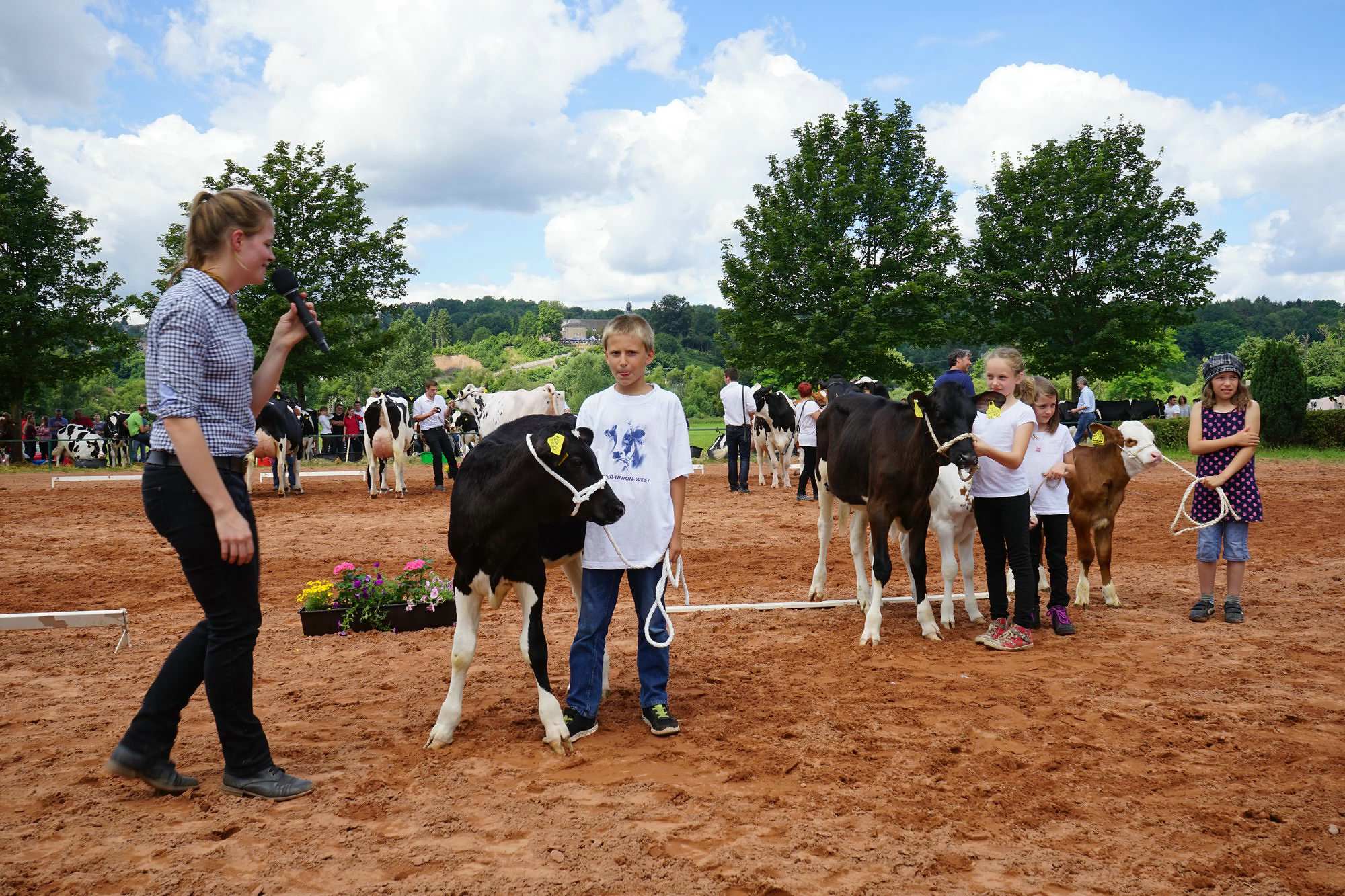 2016 07 17 webenheim kuehe 163