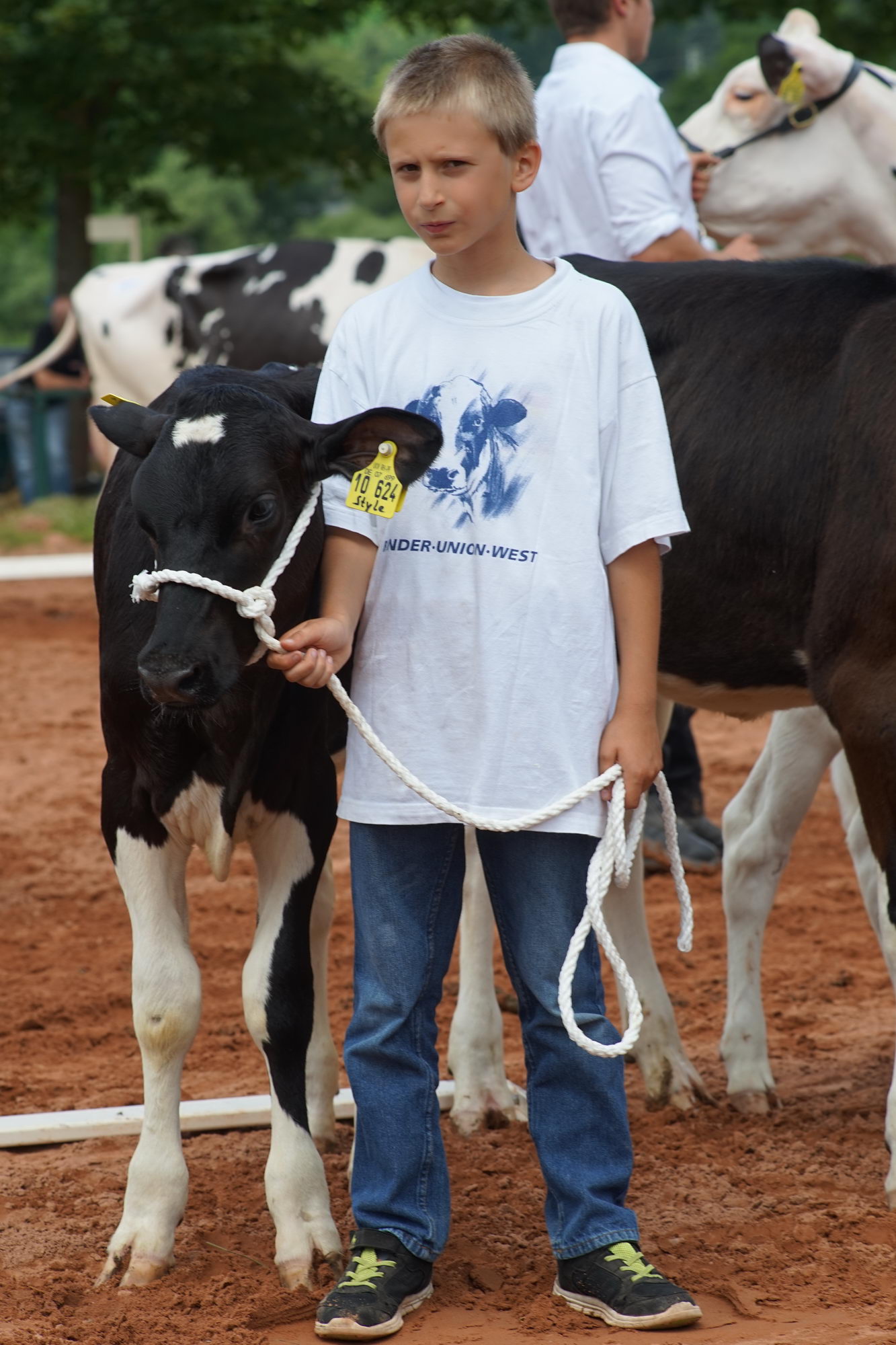 2016 07 17 webenheim kuehe 178