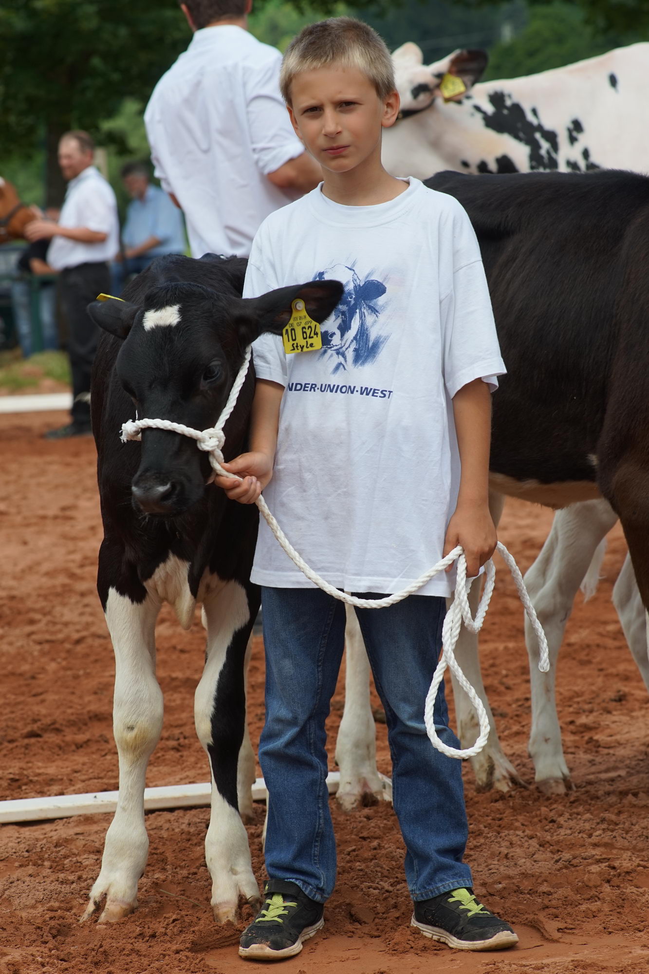 2016 07 17 webenheim kuehe 179