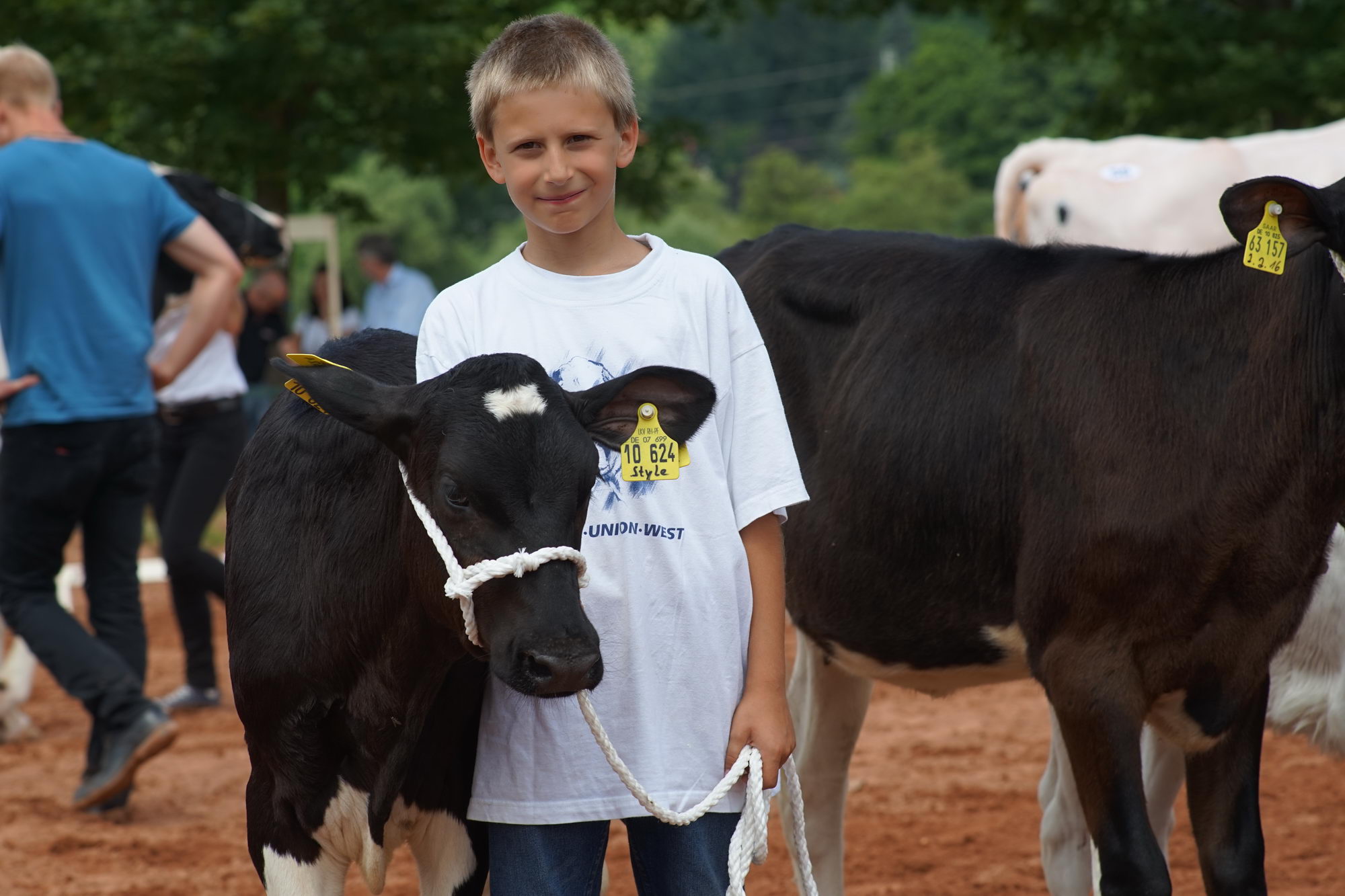 2016 07 17 webenheim kuehe 181