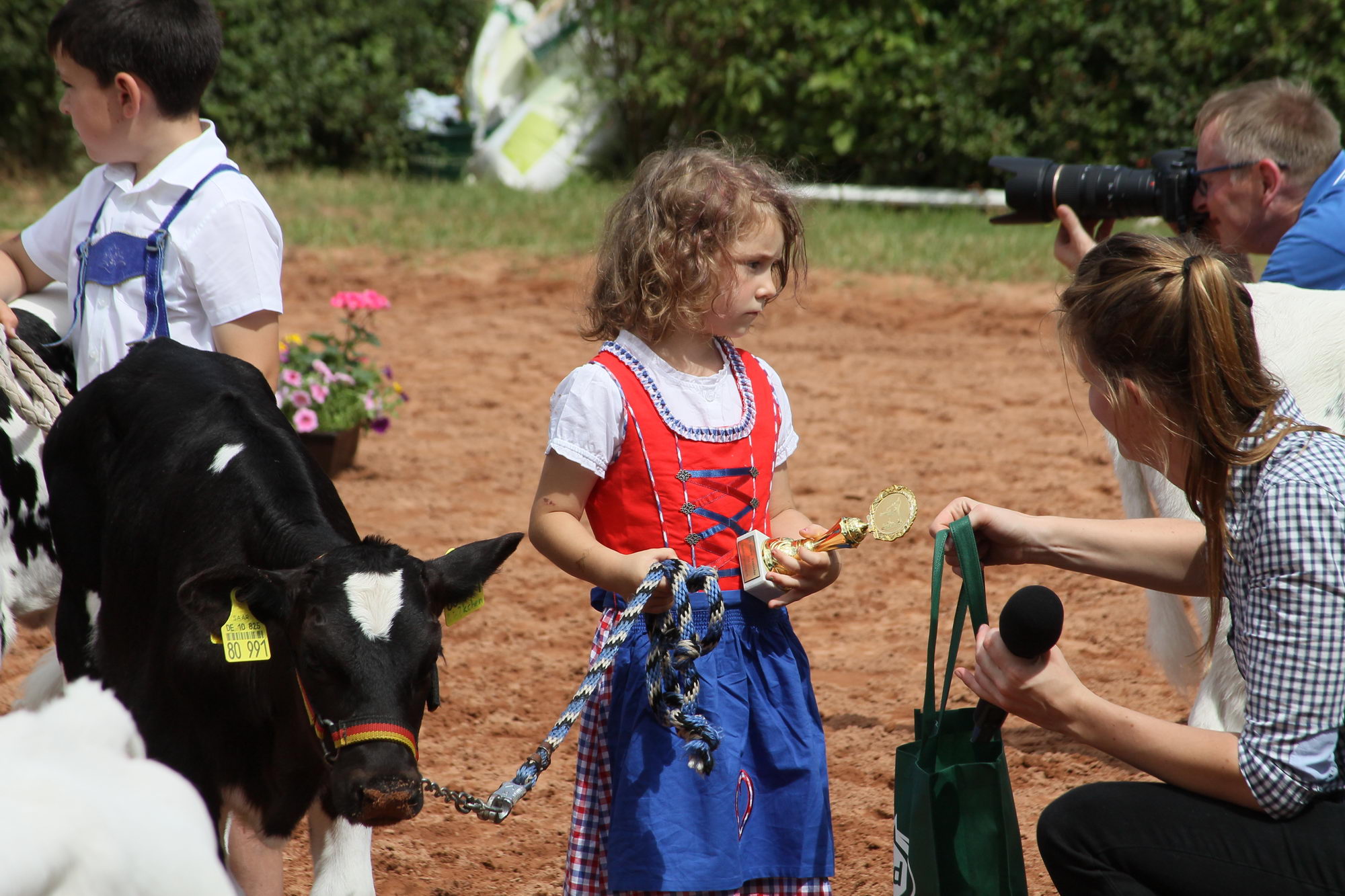 2016 07 17 webenheim kuehe 184