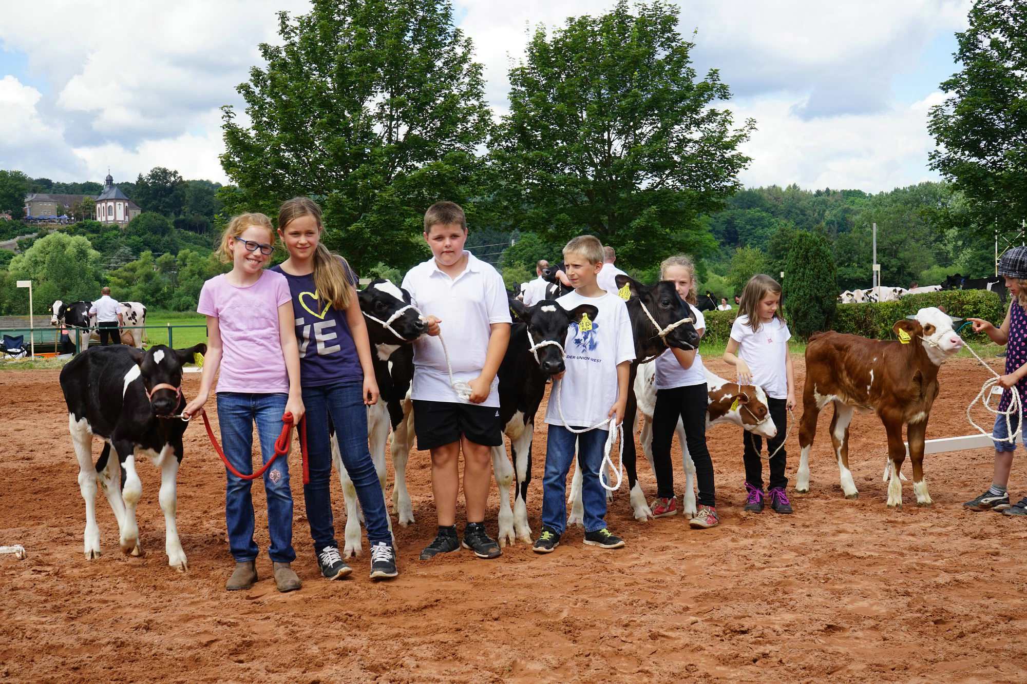 2016 07 17 webenheim kuehe 190