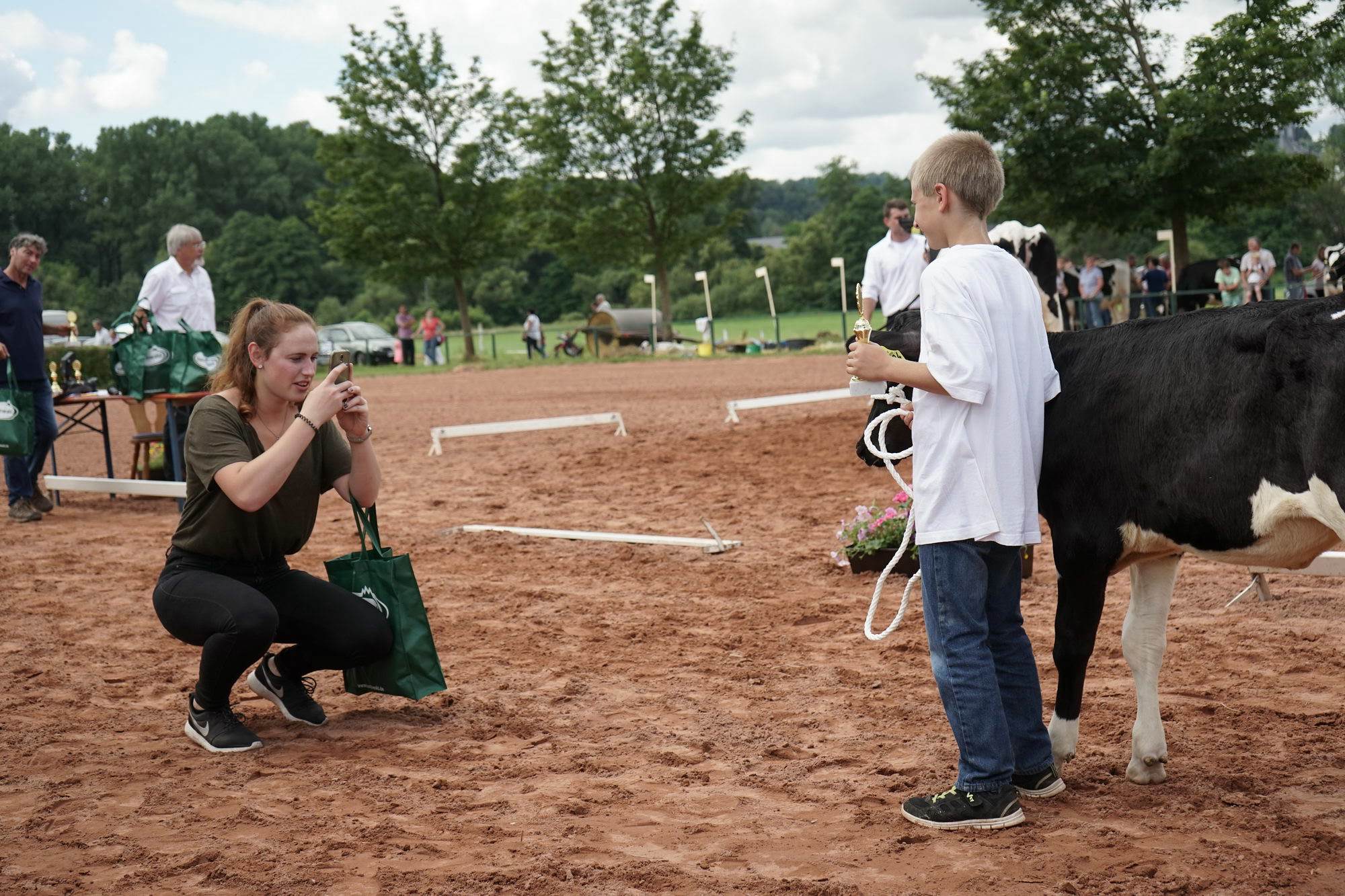 2016 07 17 webenheim kuehe 205