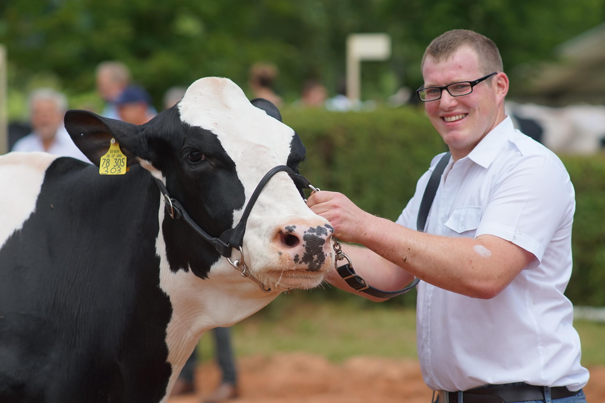 2016 07 17 webenheim kuehe 220