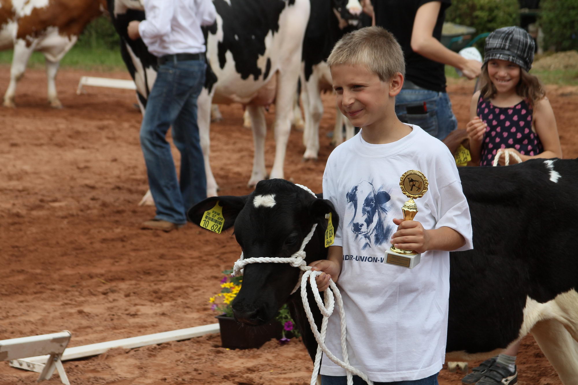 2016 07 17 webenheim kuehe 235