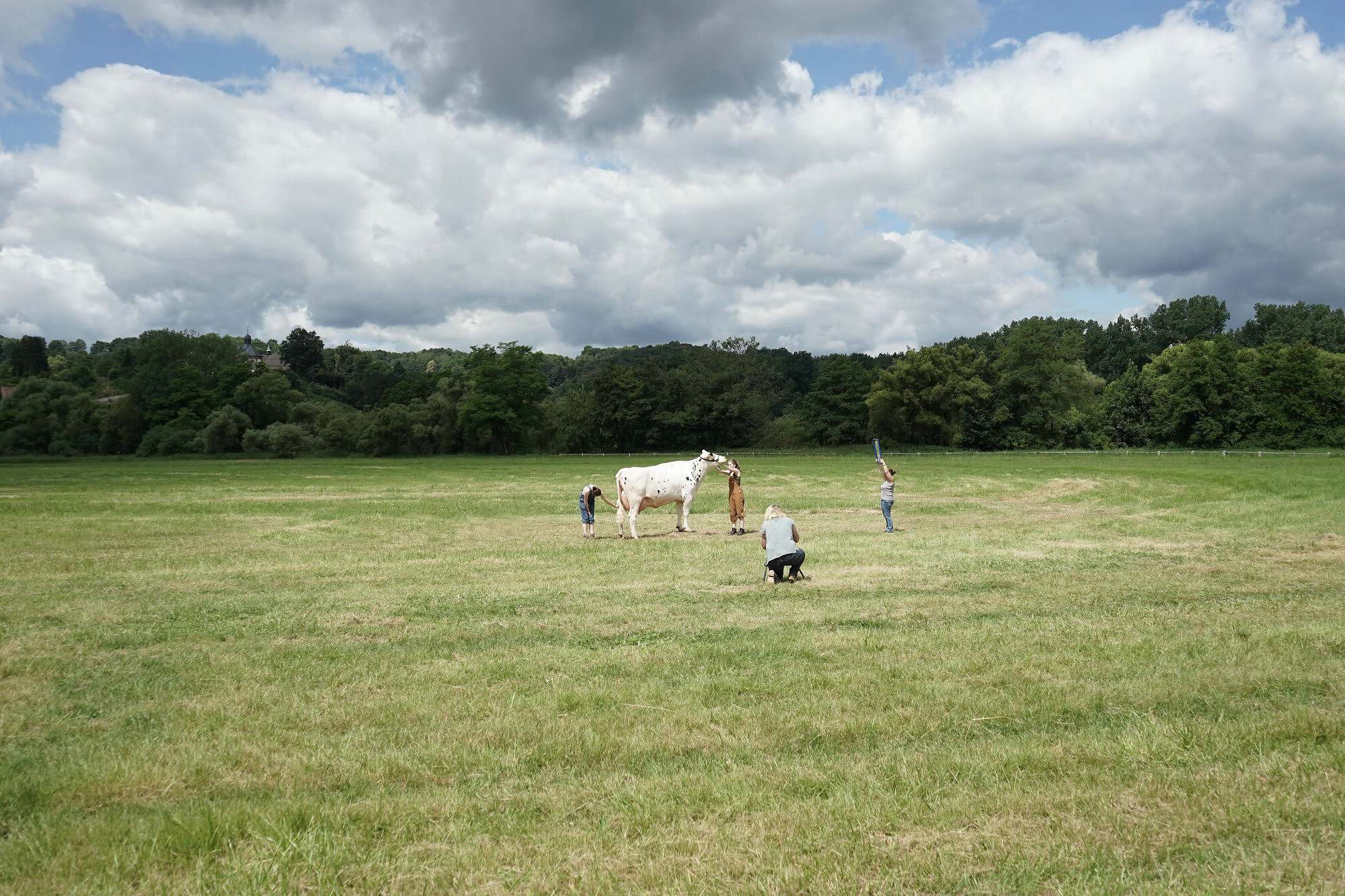 2016 07 17 webenheim kuehe 250
