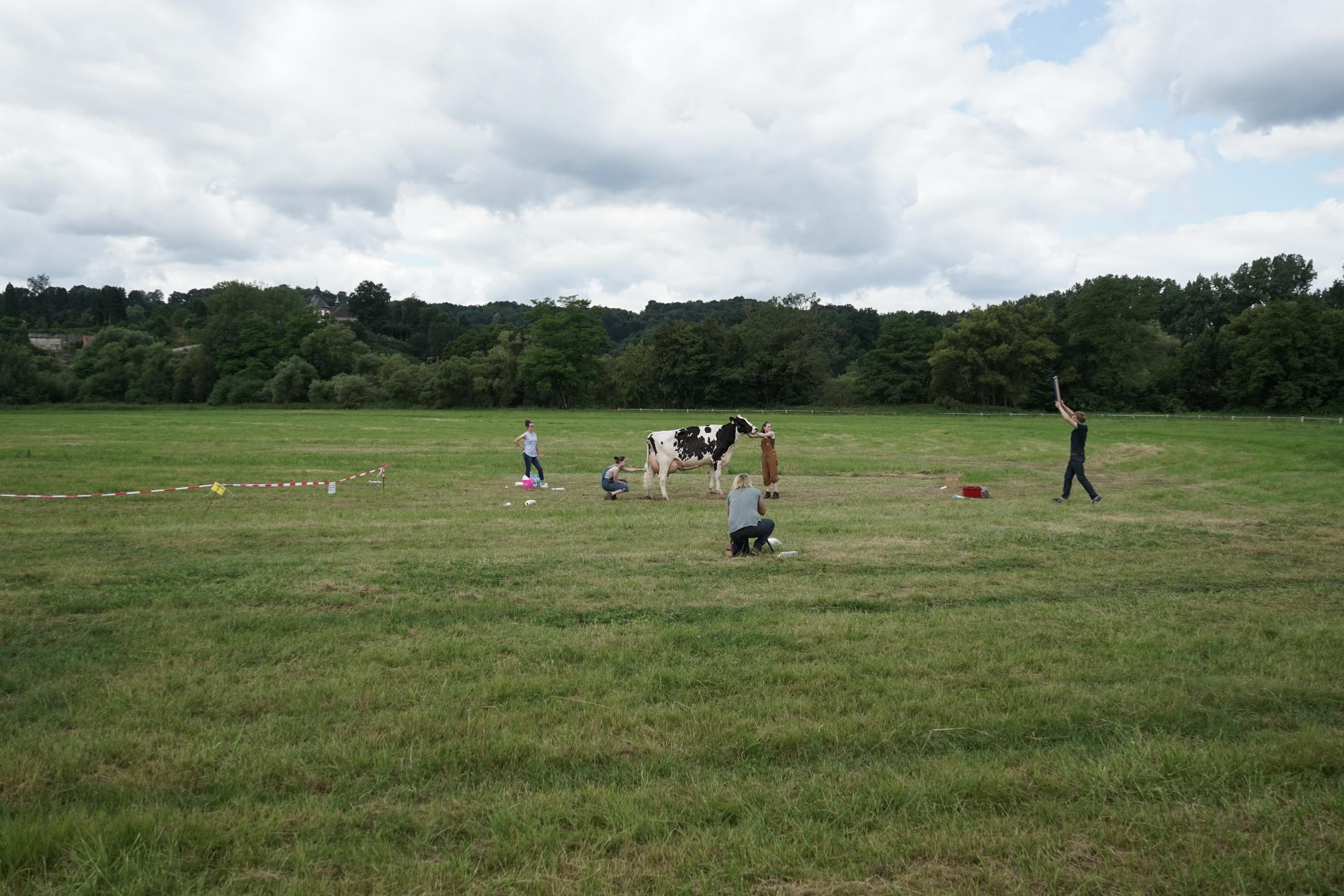 2016 07 17 webenheim kuehe 252