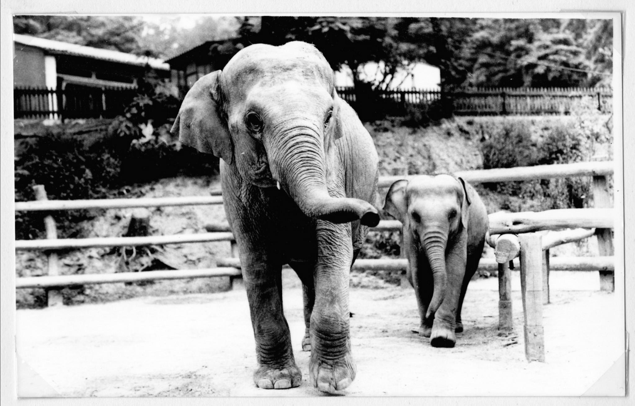 Kinax04 8163551320 o