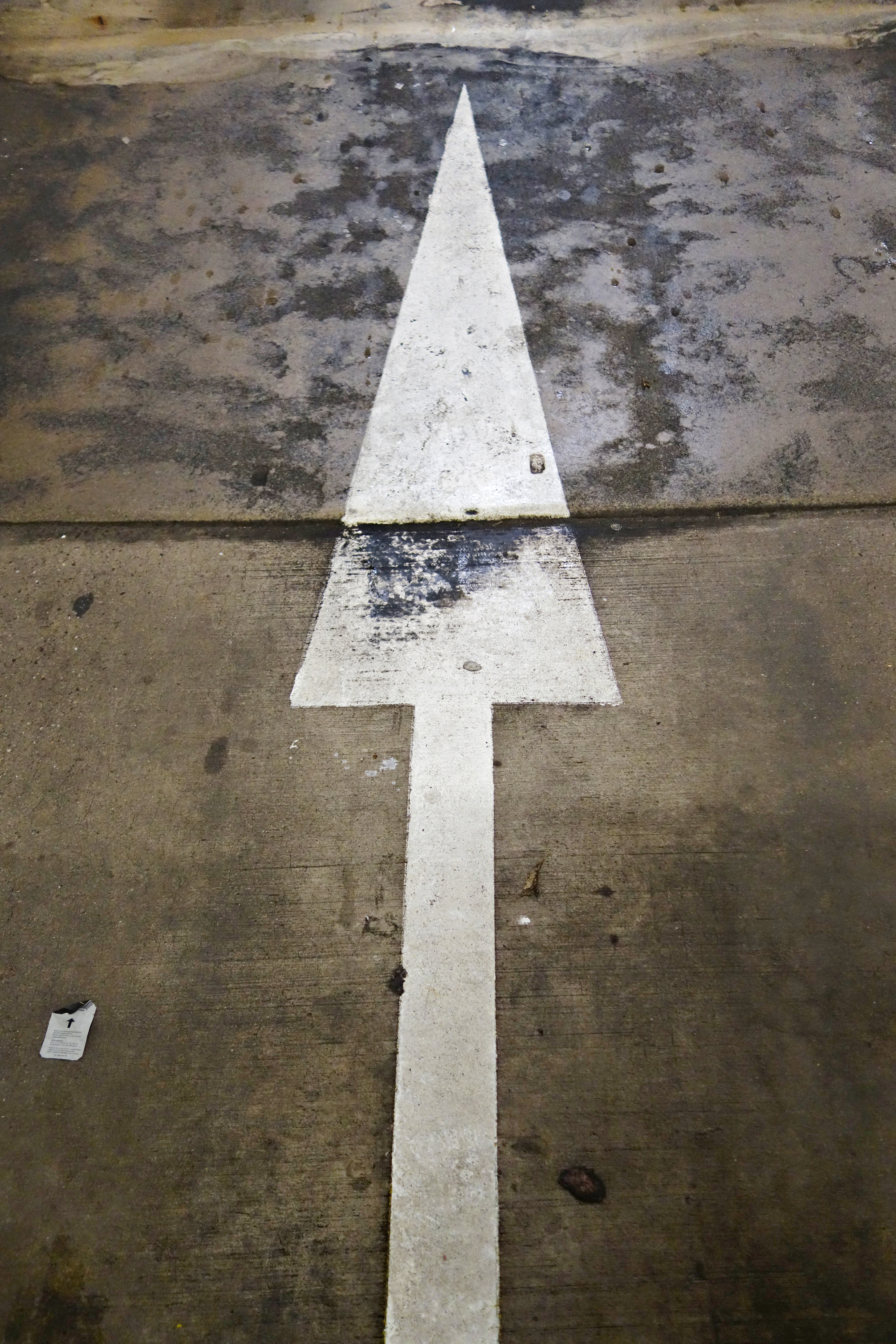 Dsc03892 11495251256 o