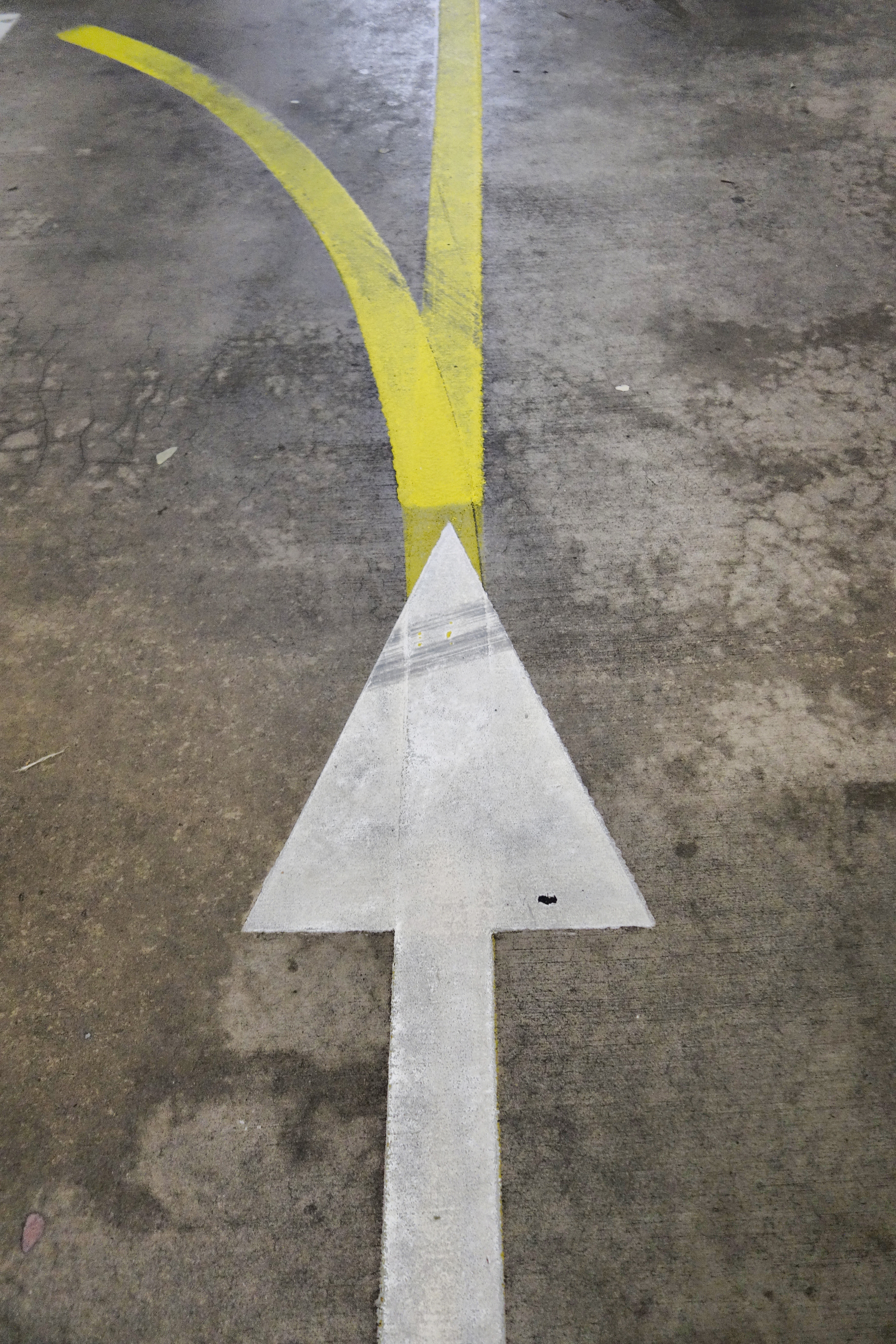 Dsc03899 11495184805 o