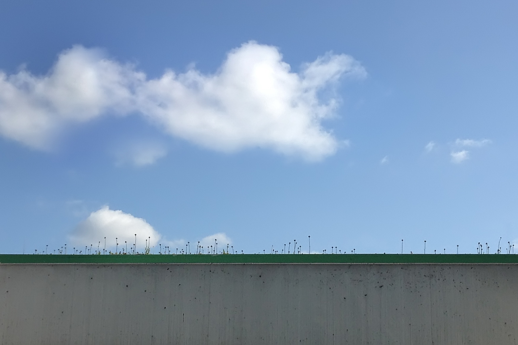 Img 1102a 11499650306 o