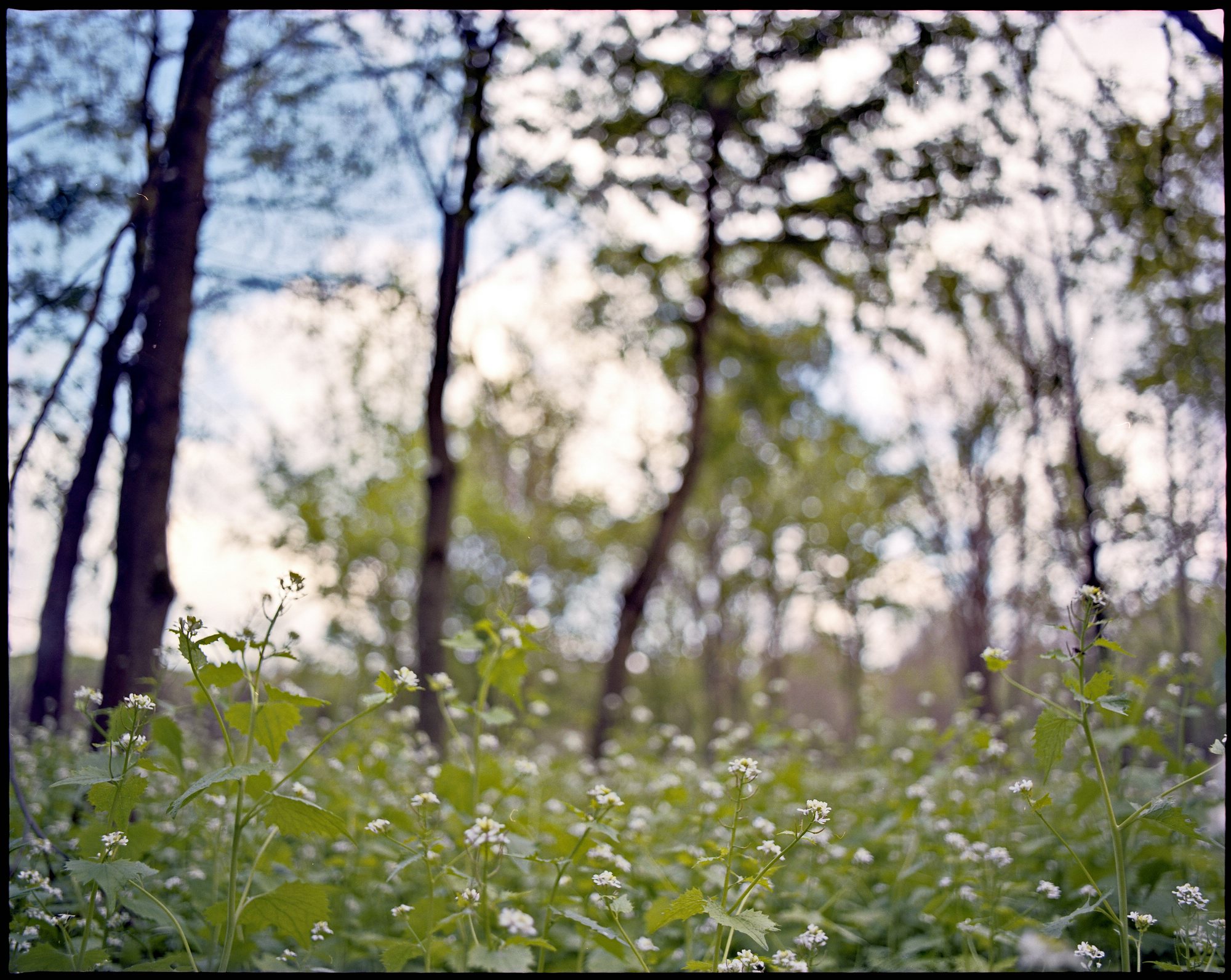 2017 05 05 pentax 01 vkl 33675356413 o