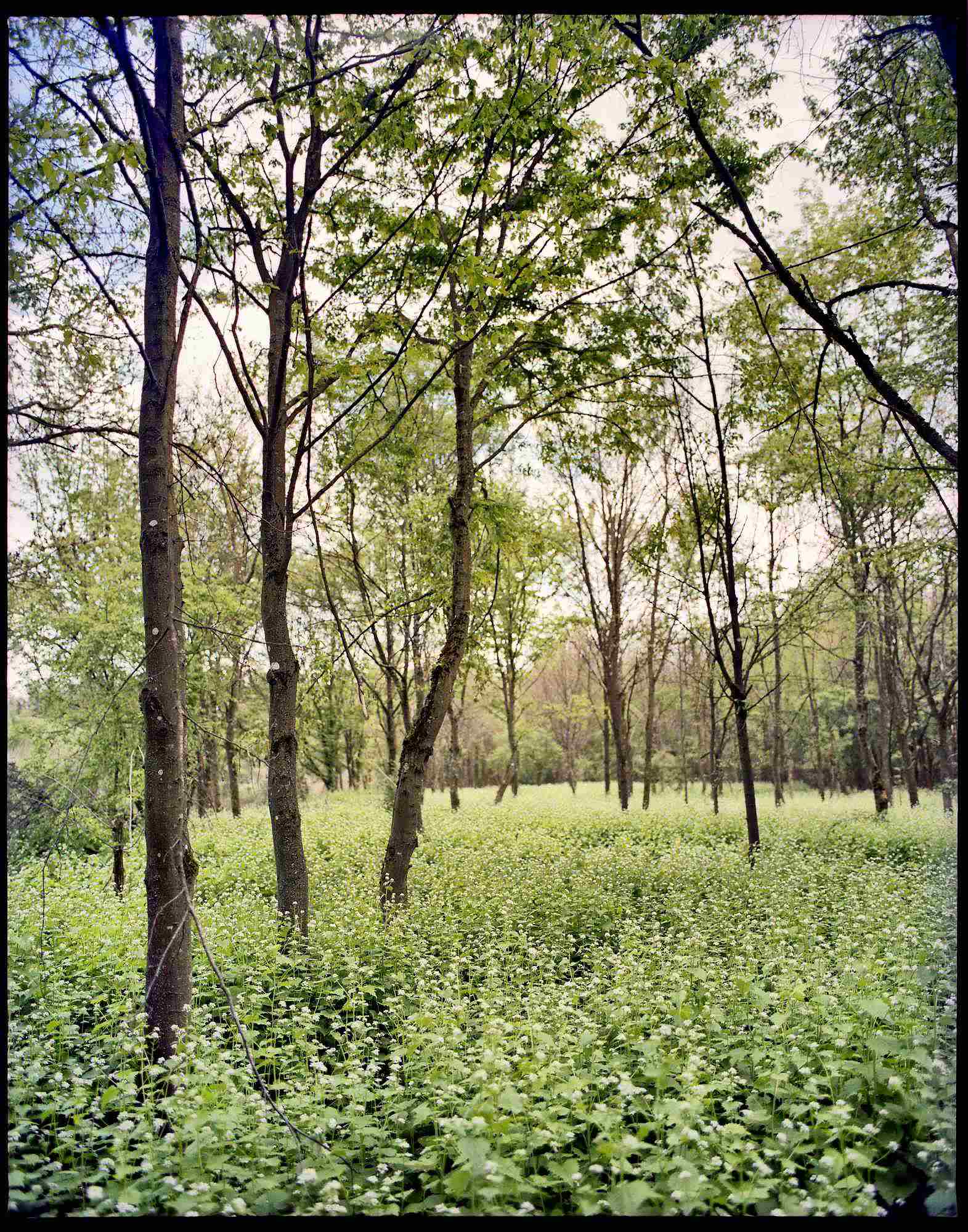 2017 05 05 pentax 04 vkl 33642968624 o