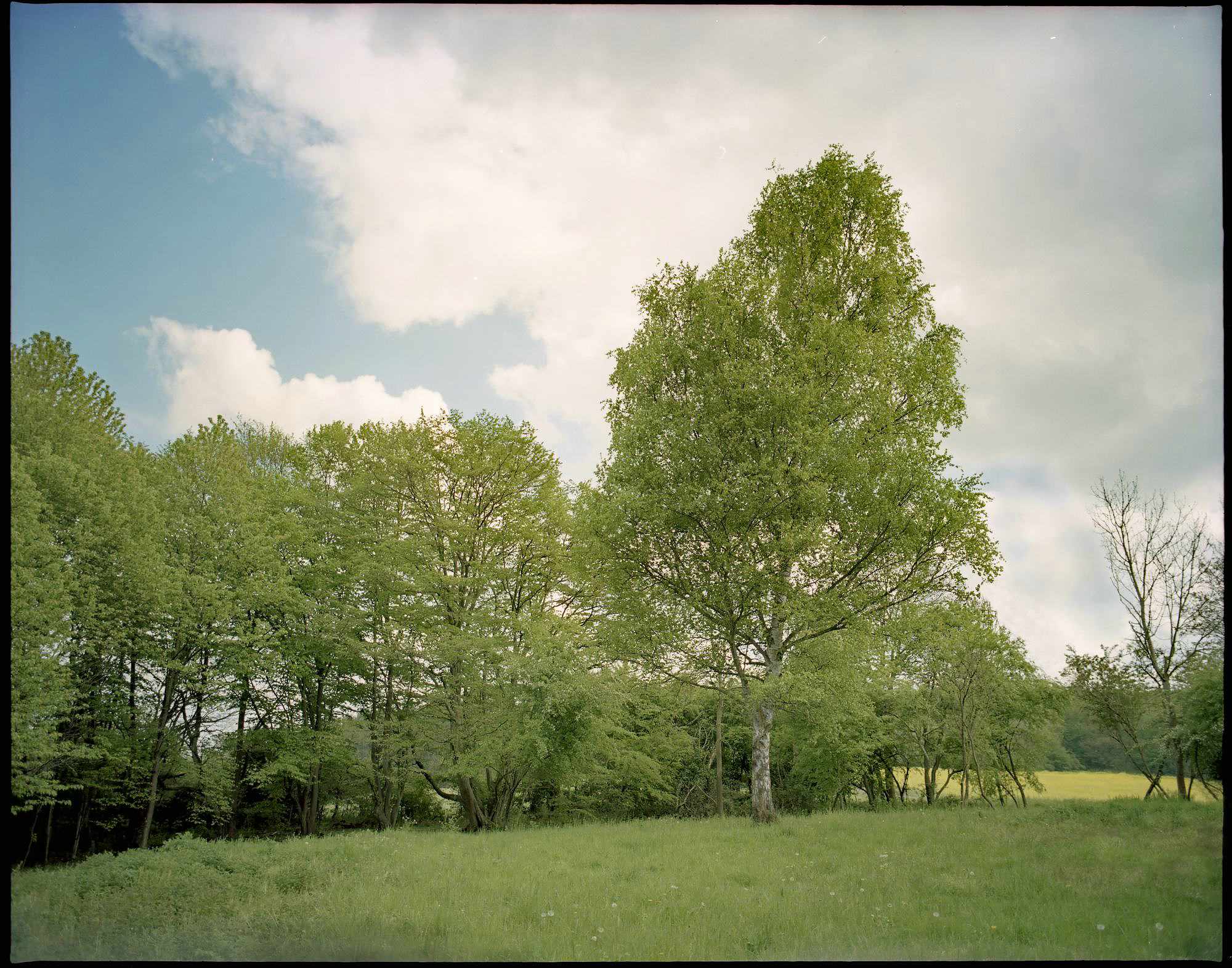 2017 05 05 pentax 09 vkl 33642971934 o