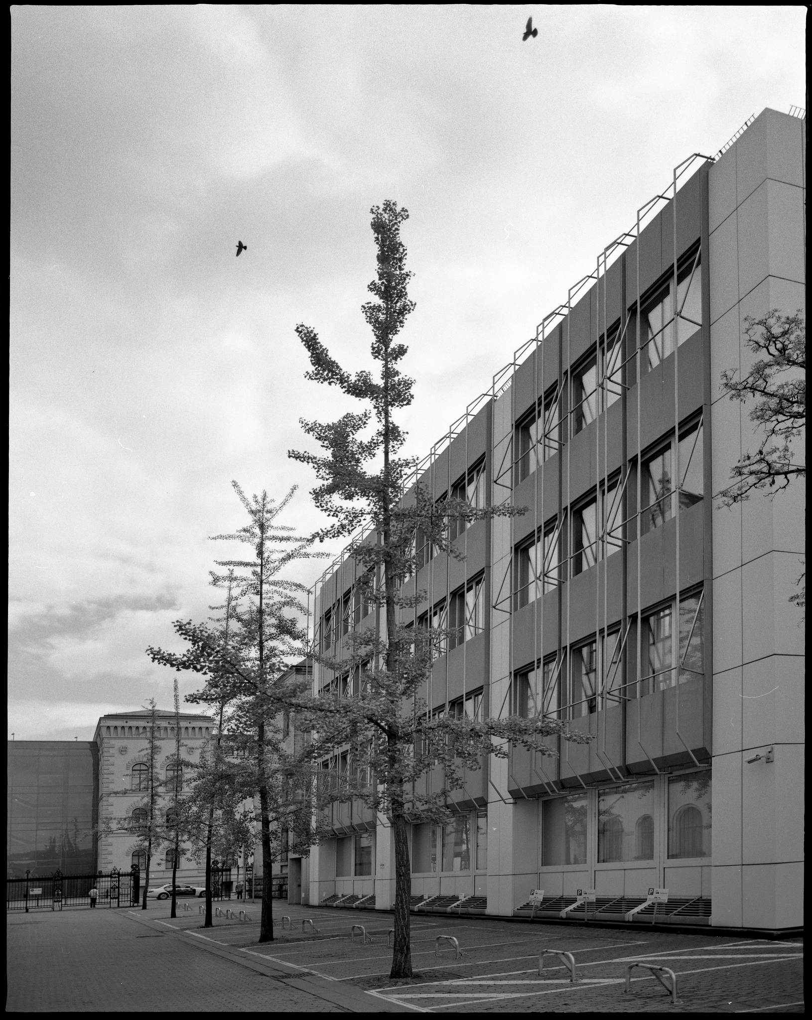 2017 05 13 pentax 6x7 03 33827998723 o