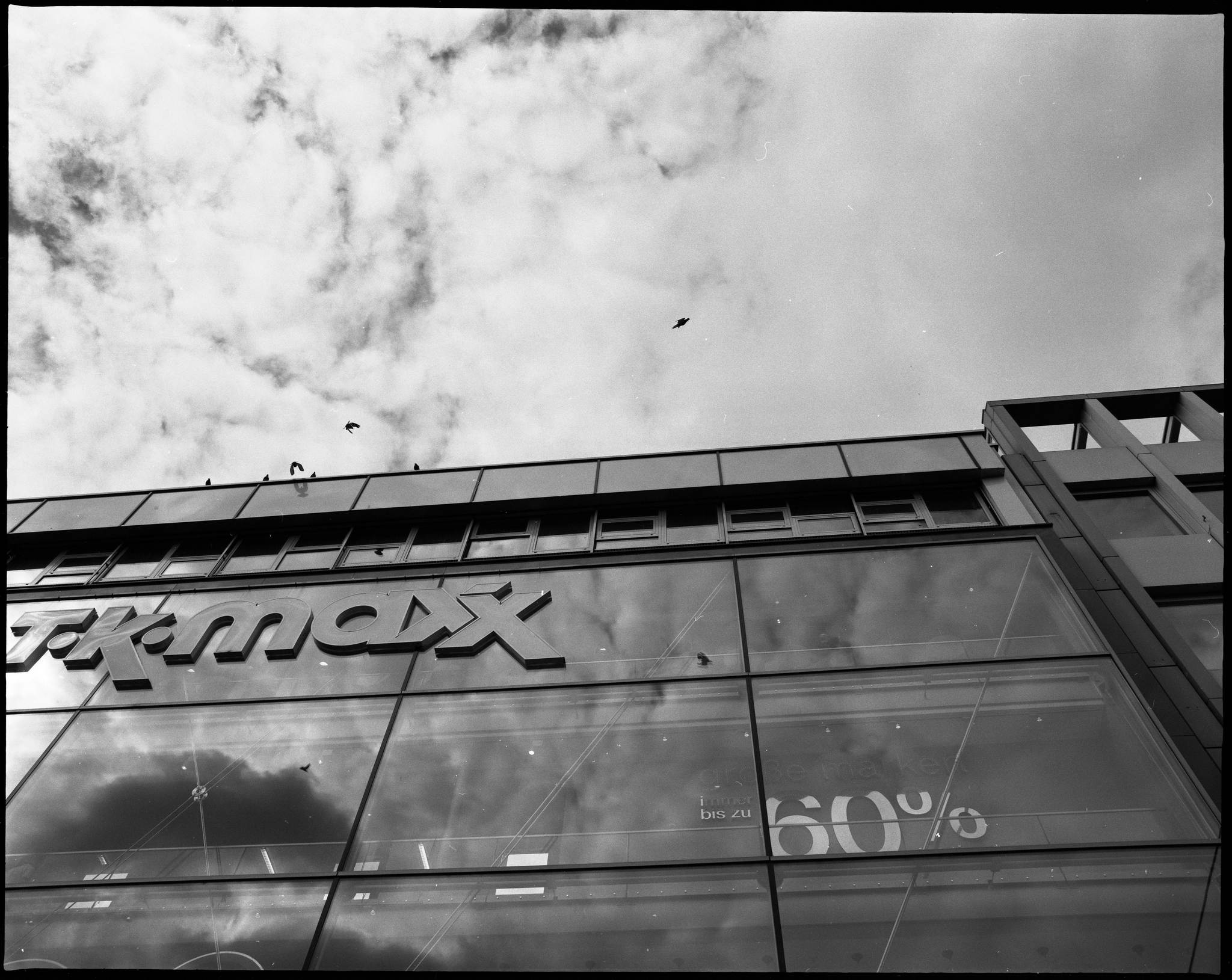 2017 05 13 pentax 6x7 05 33794946404 o